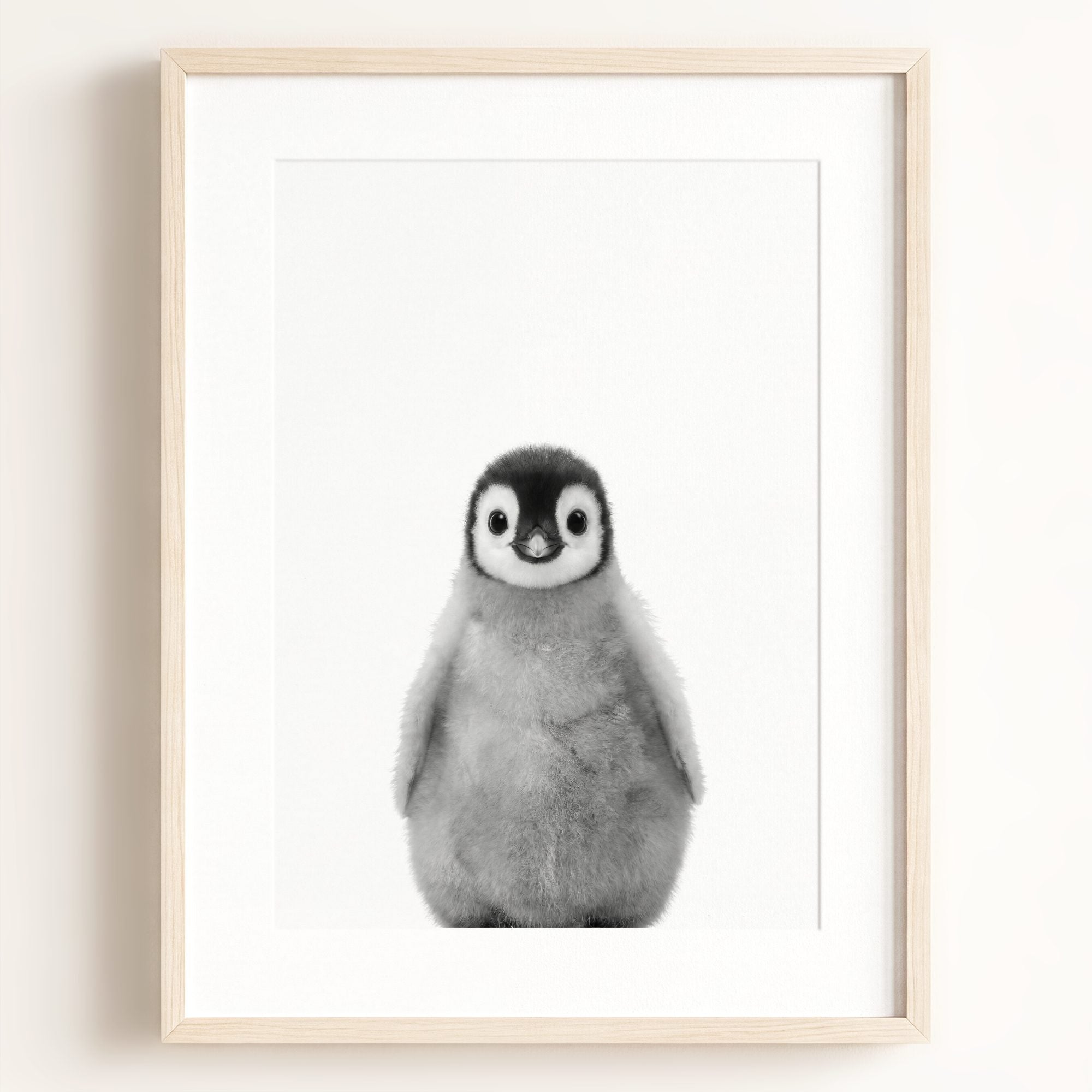 Baby Penguin