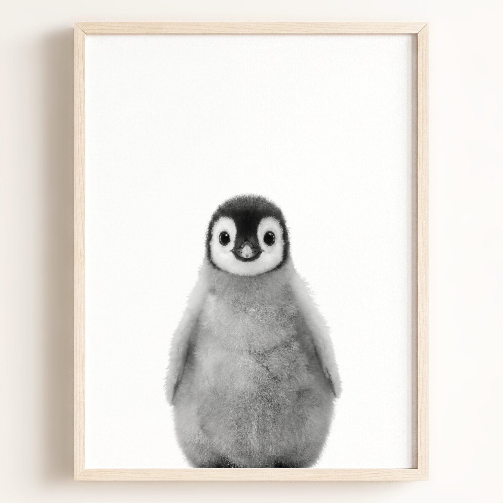 Baby Penguin