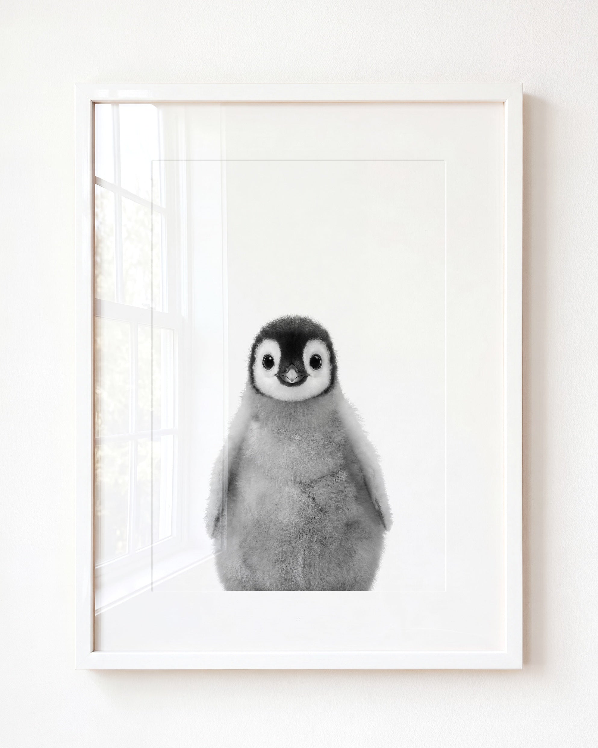 Baby Penguin