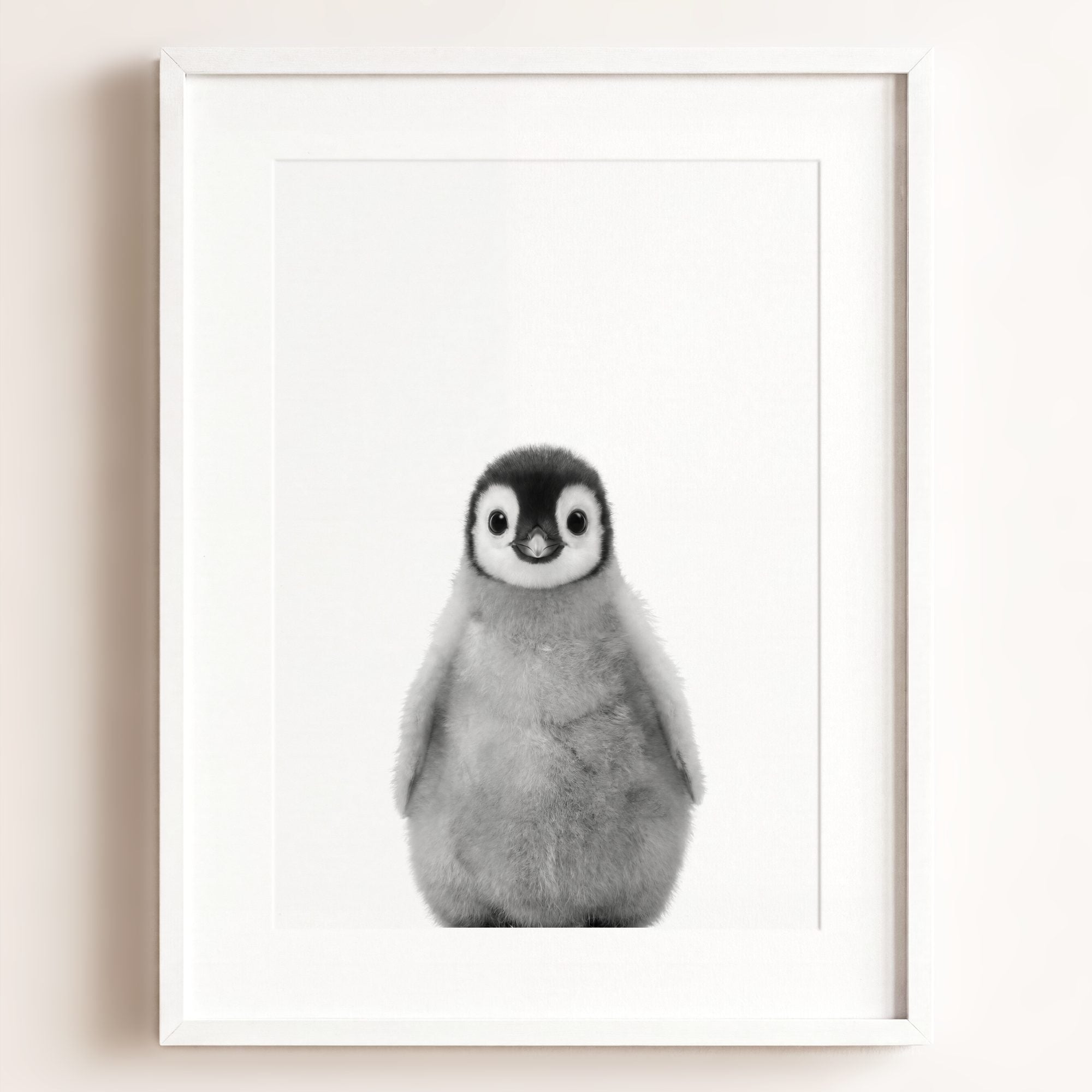 Baby Penguin