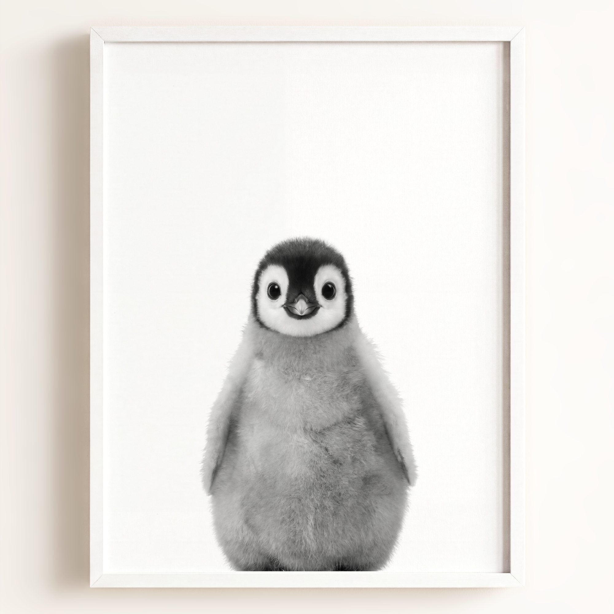 Baby Penguin