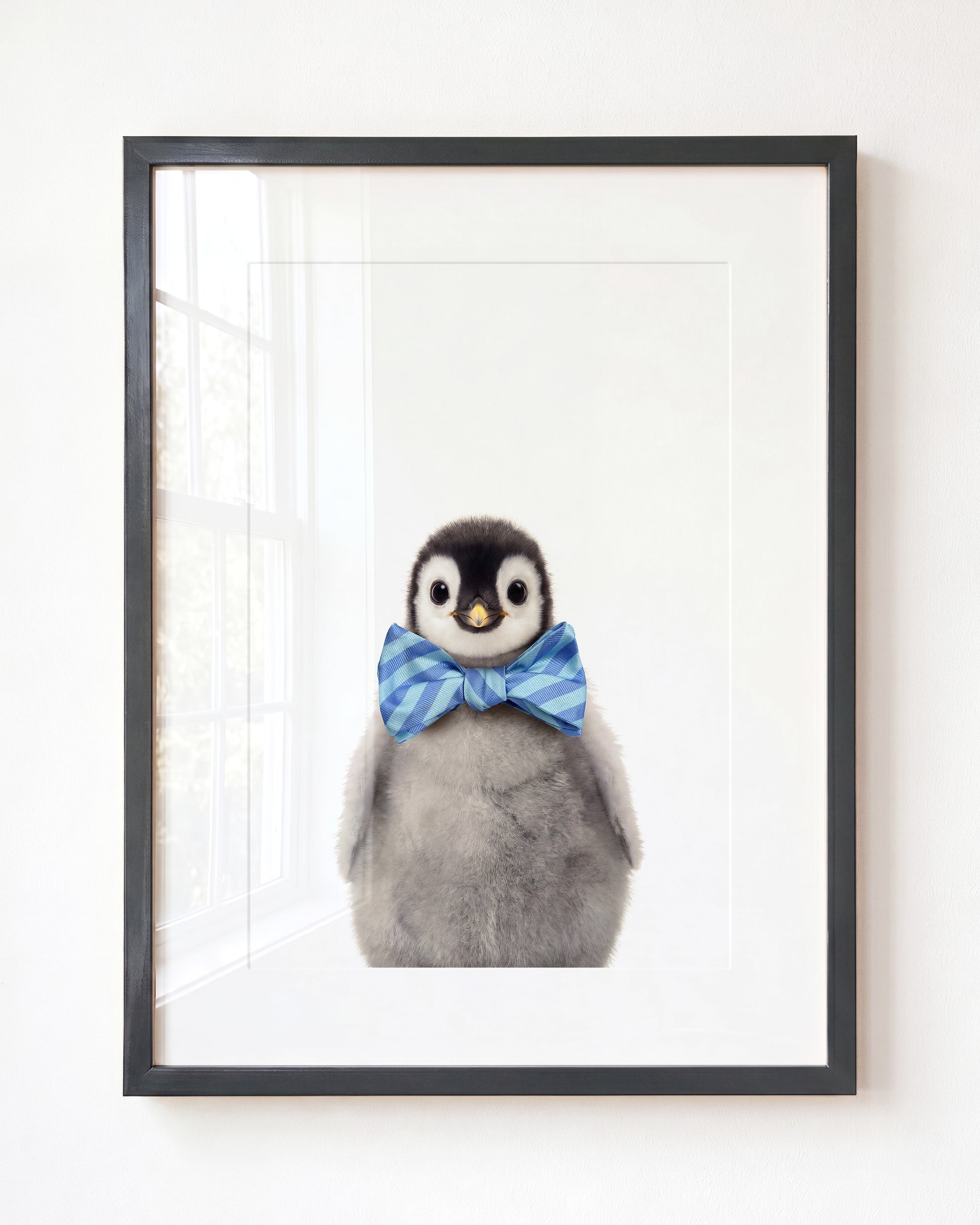 Baby Penguin