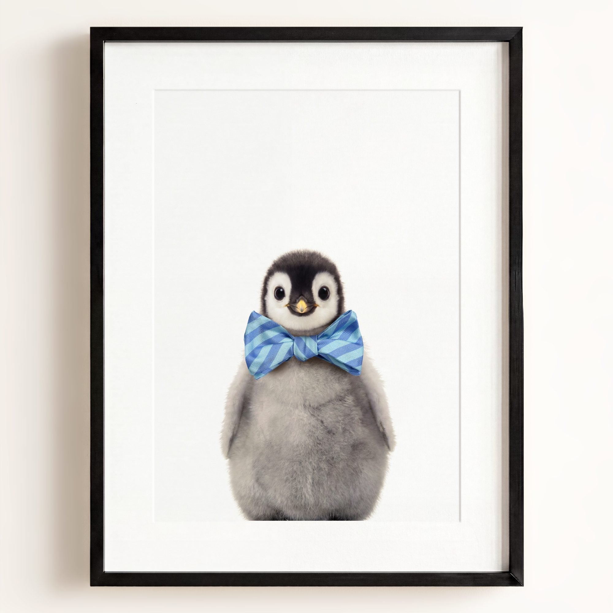 Baby Penguin