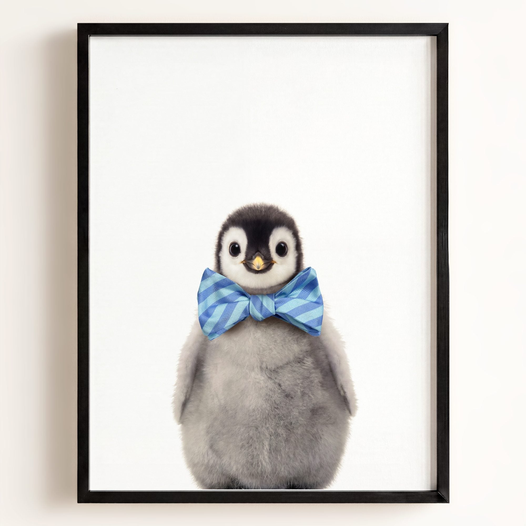 Baby Penguin