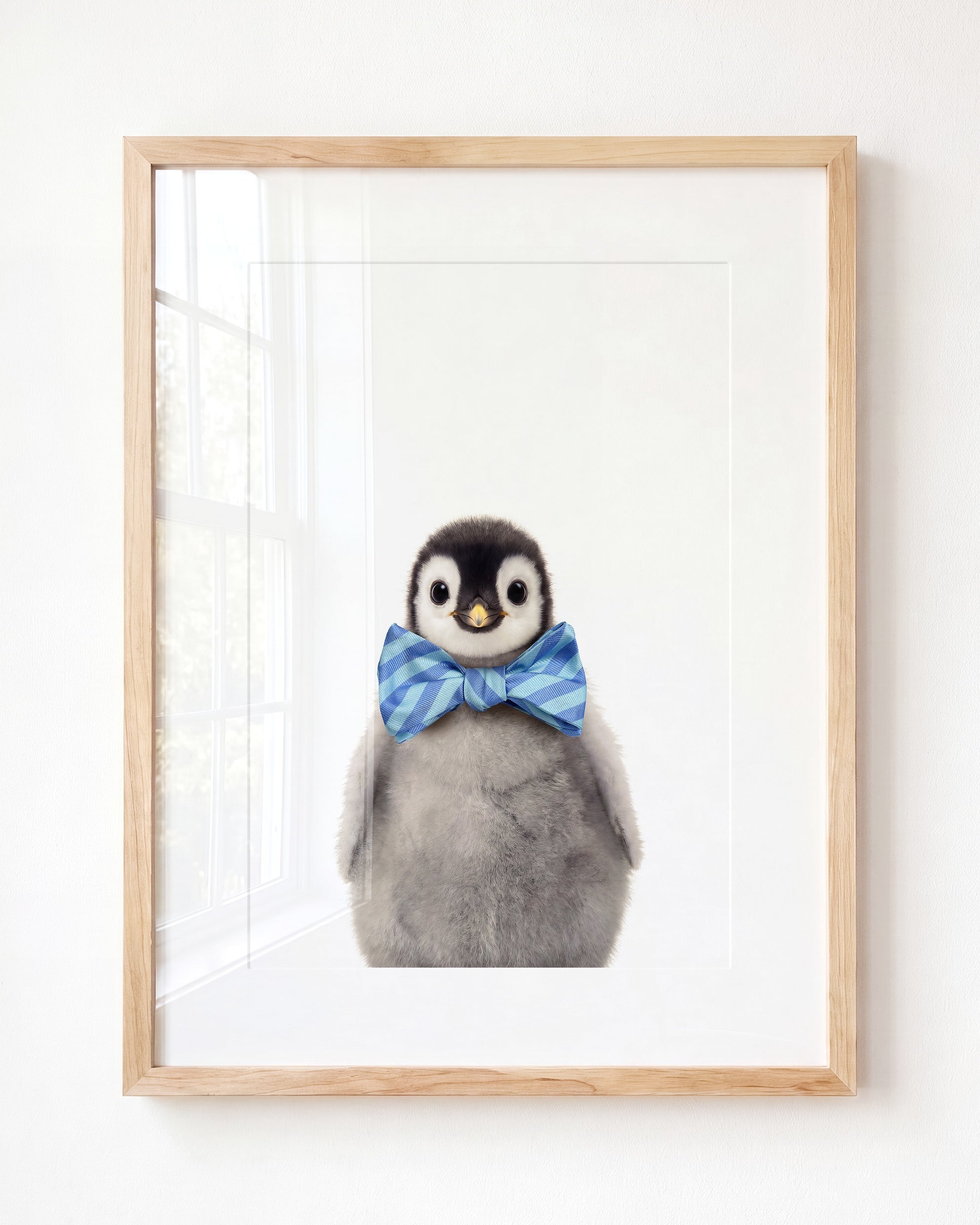 Baby Penguin