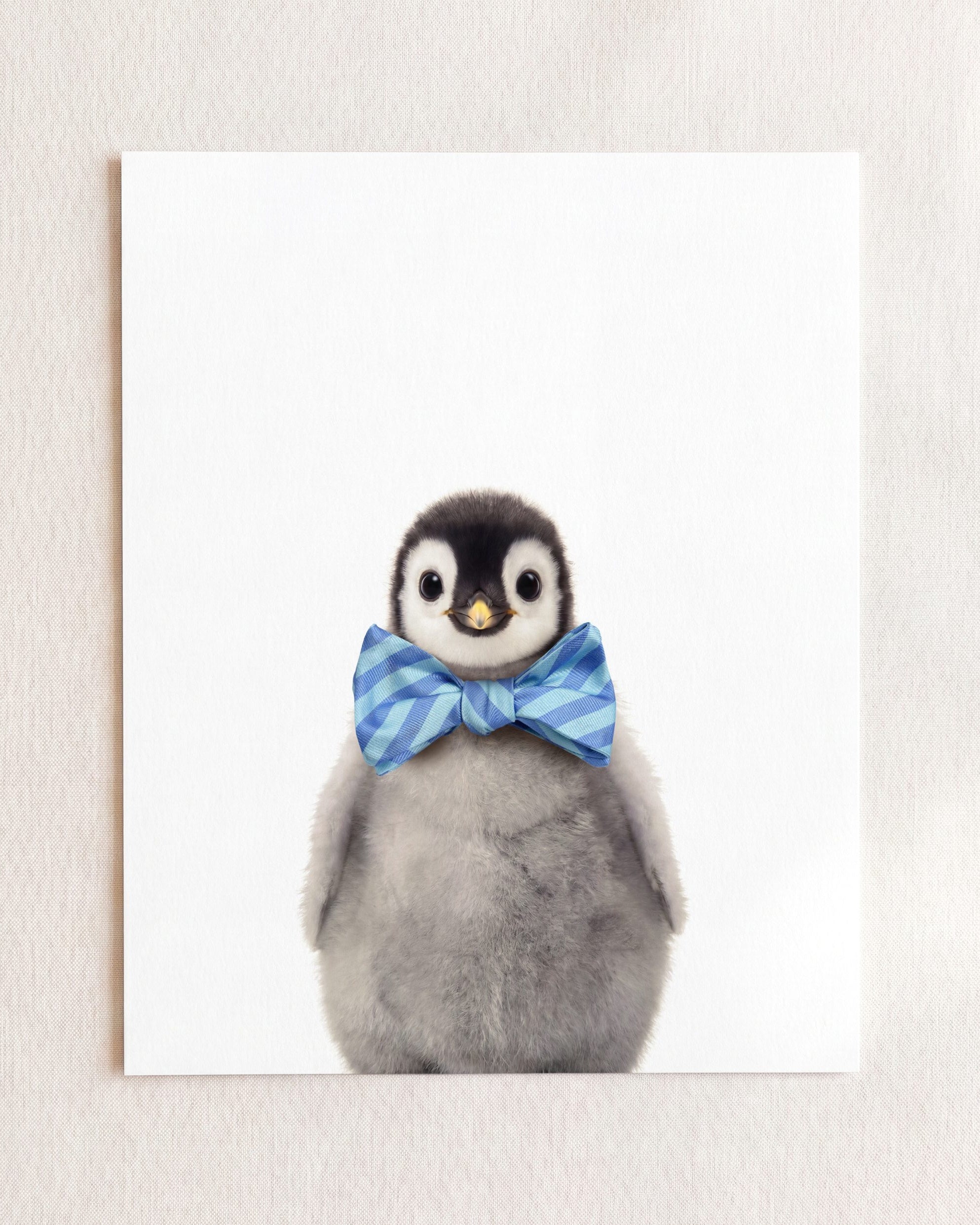 Baby Penguin
