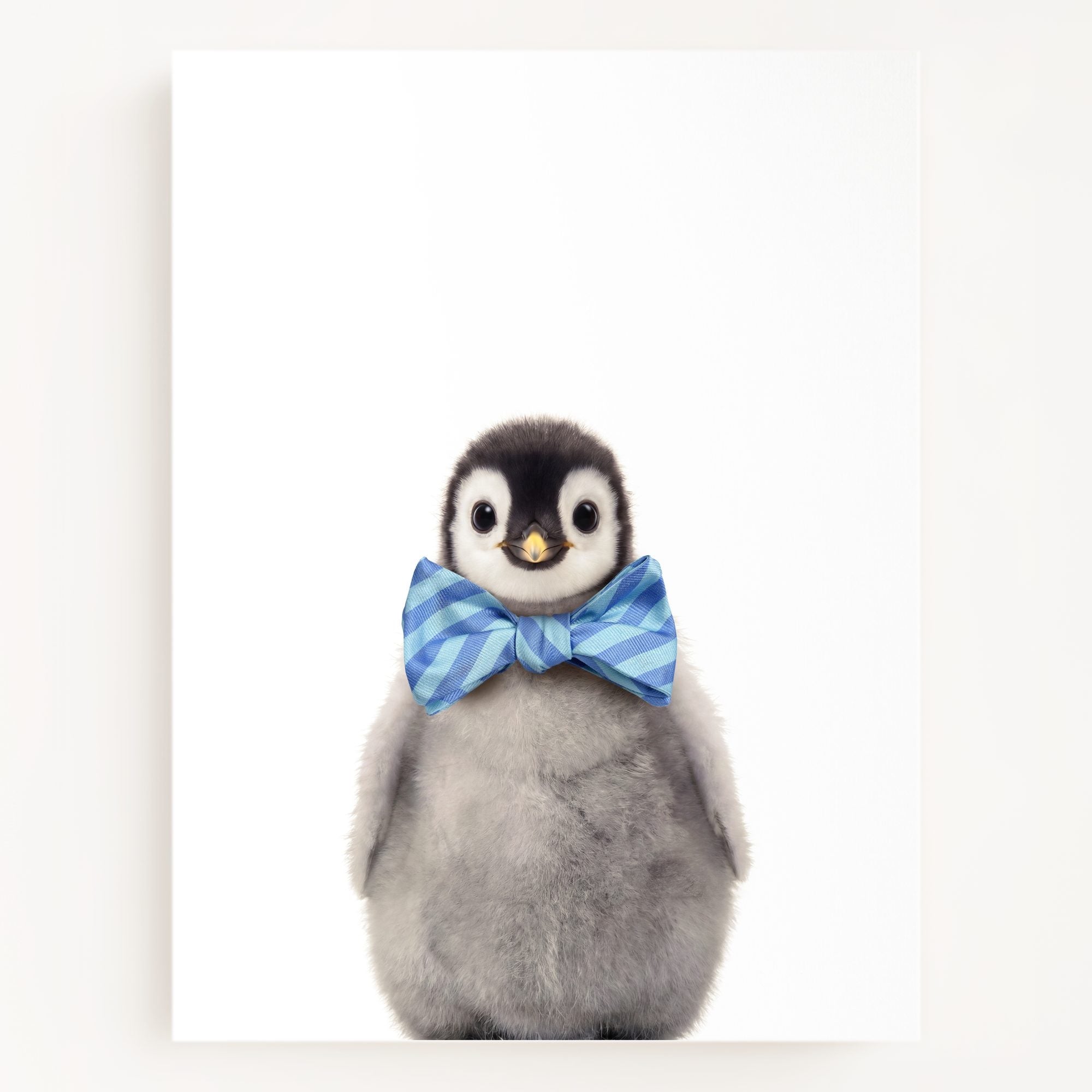 Baby Penguin