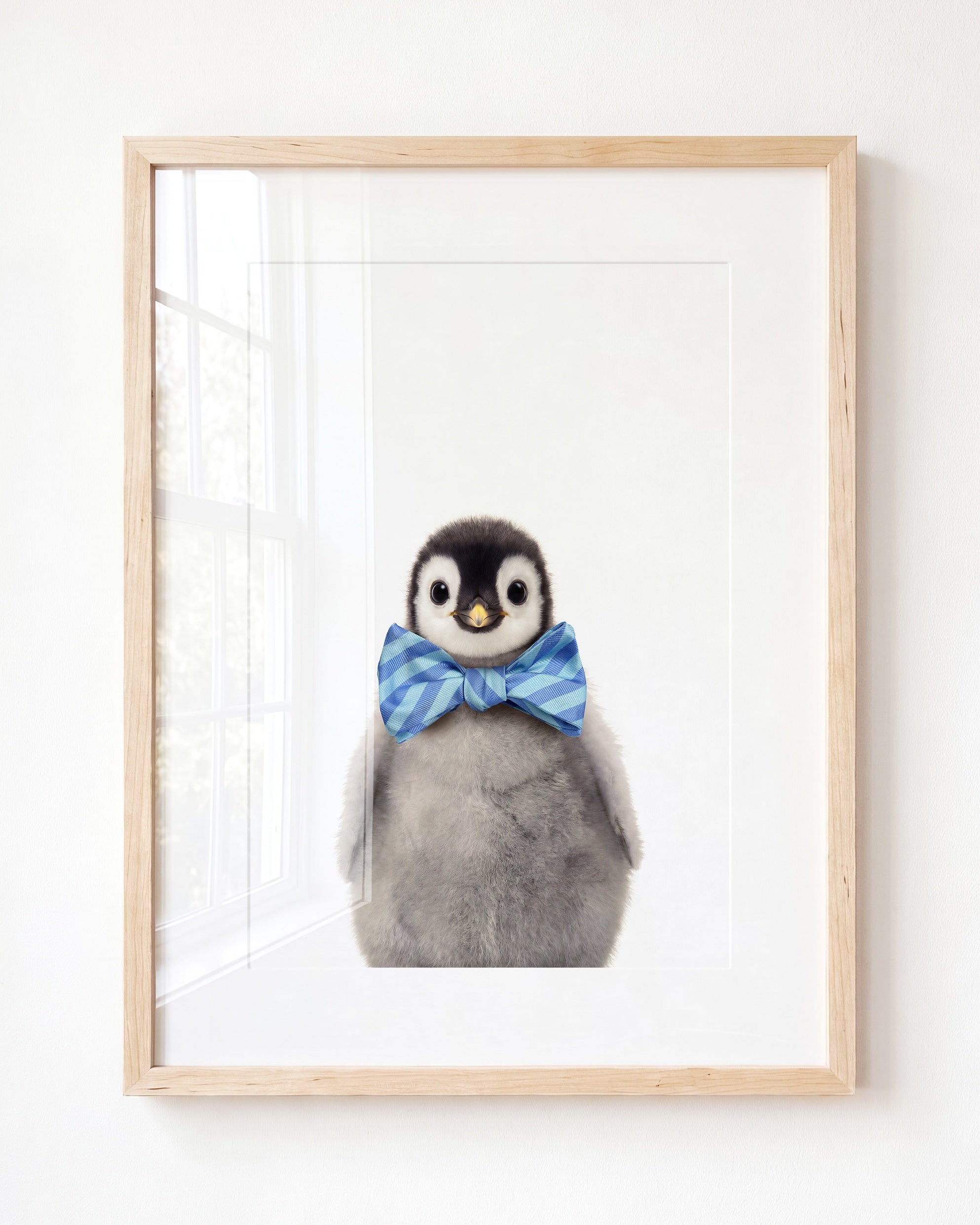 Baby Penguin