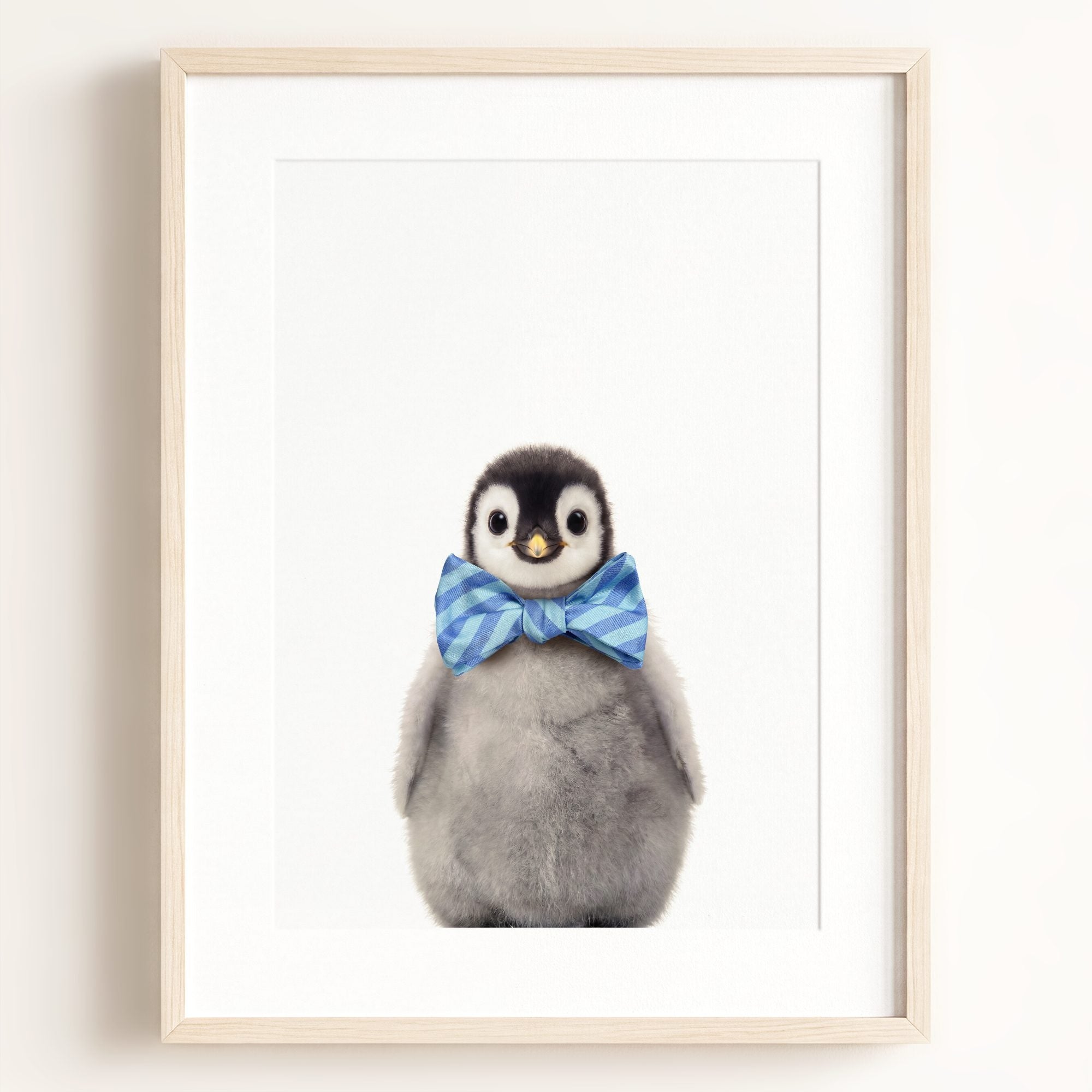 Baby Penguin