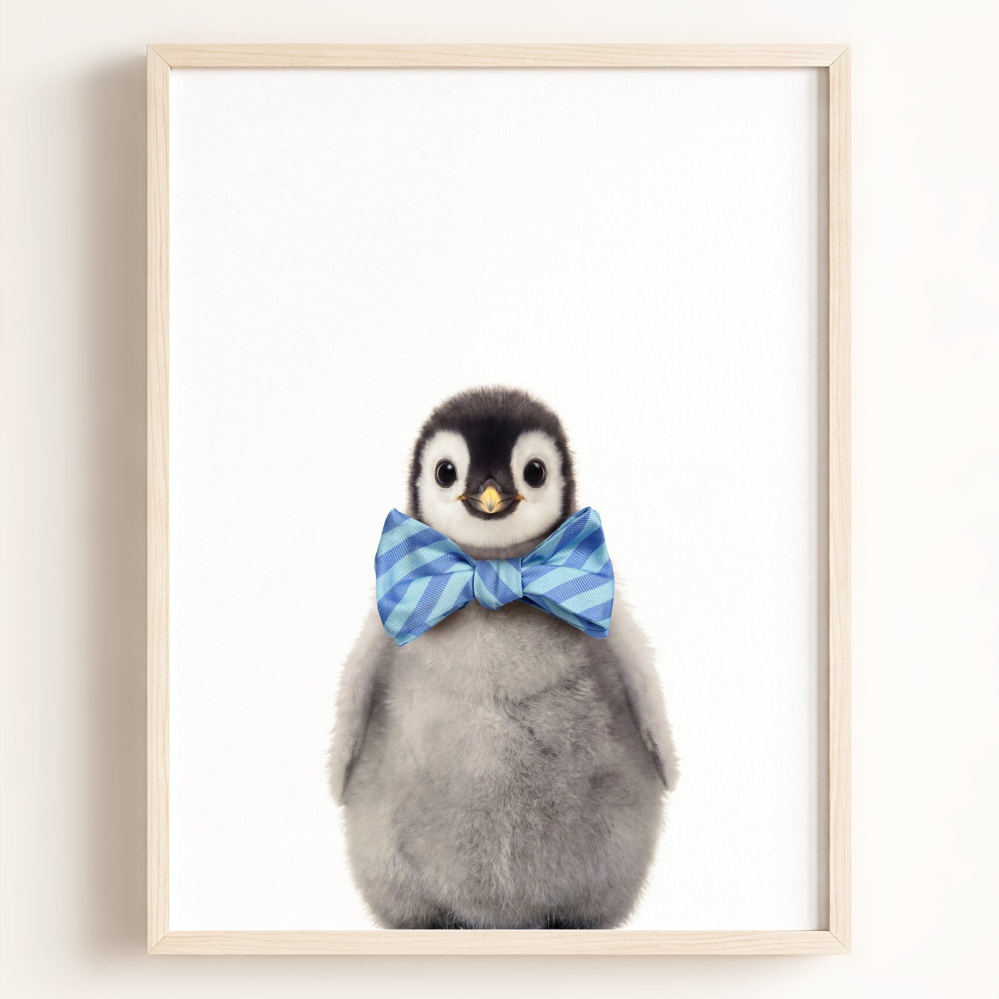 Baby Penguin