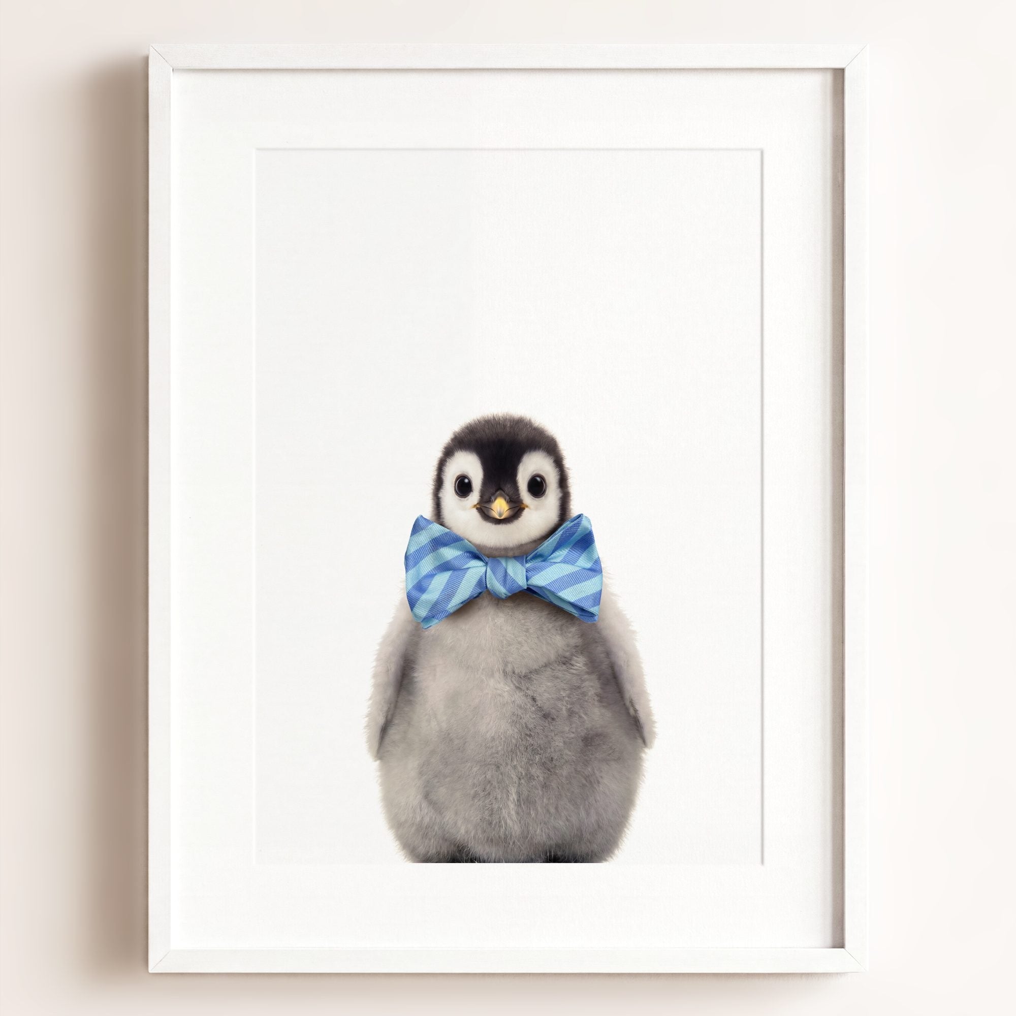 Baby Penguin