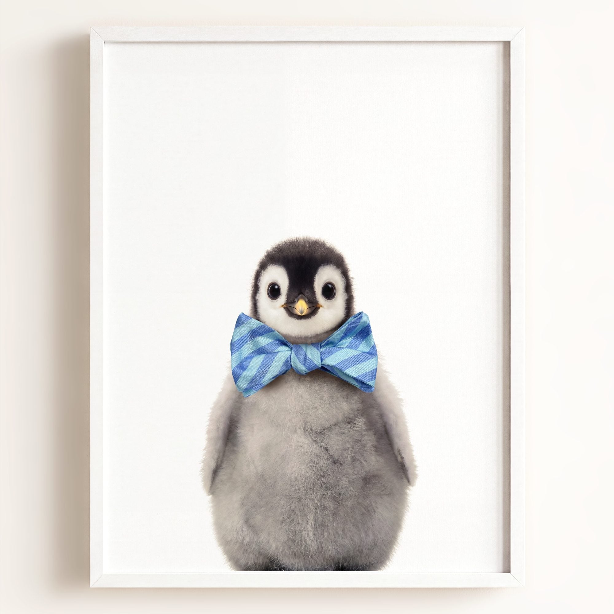 Baby Penguin