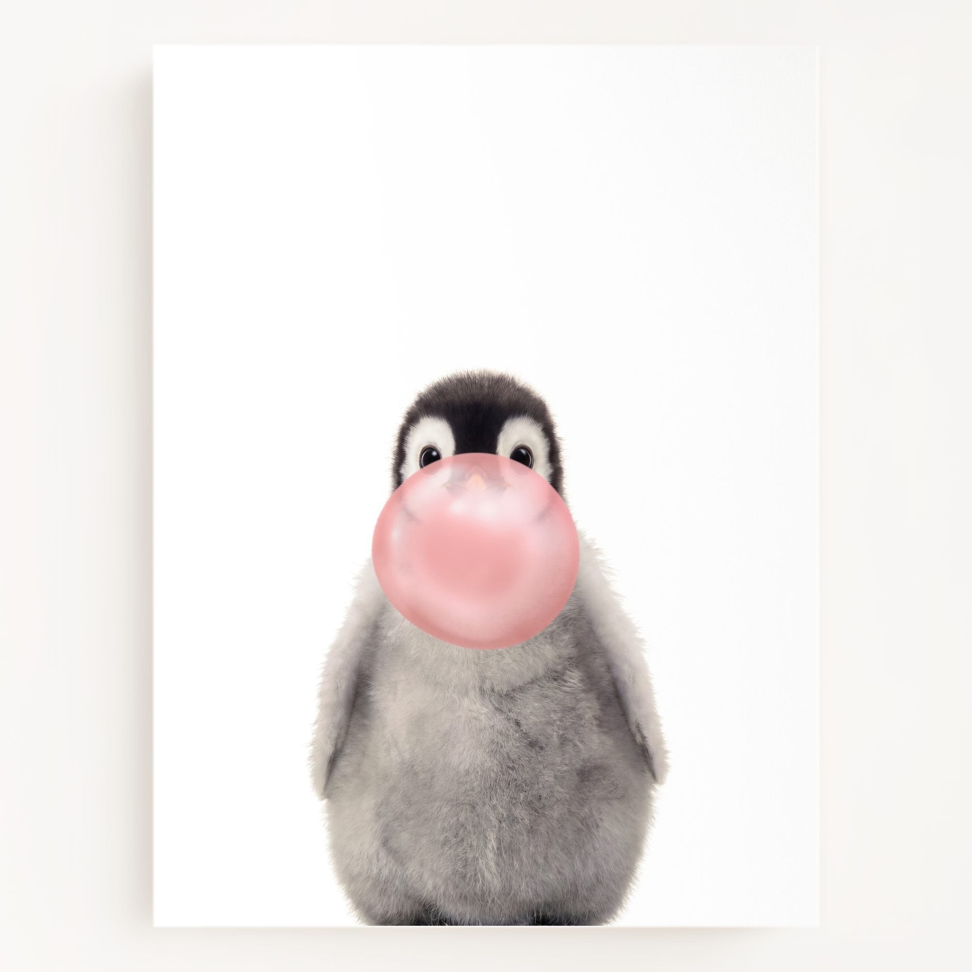 Baby Penguin