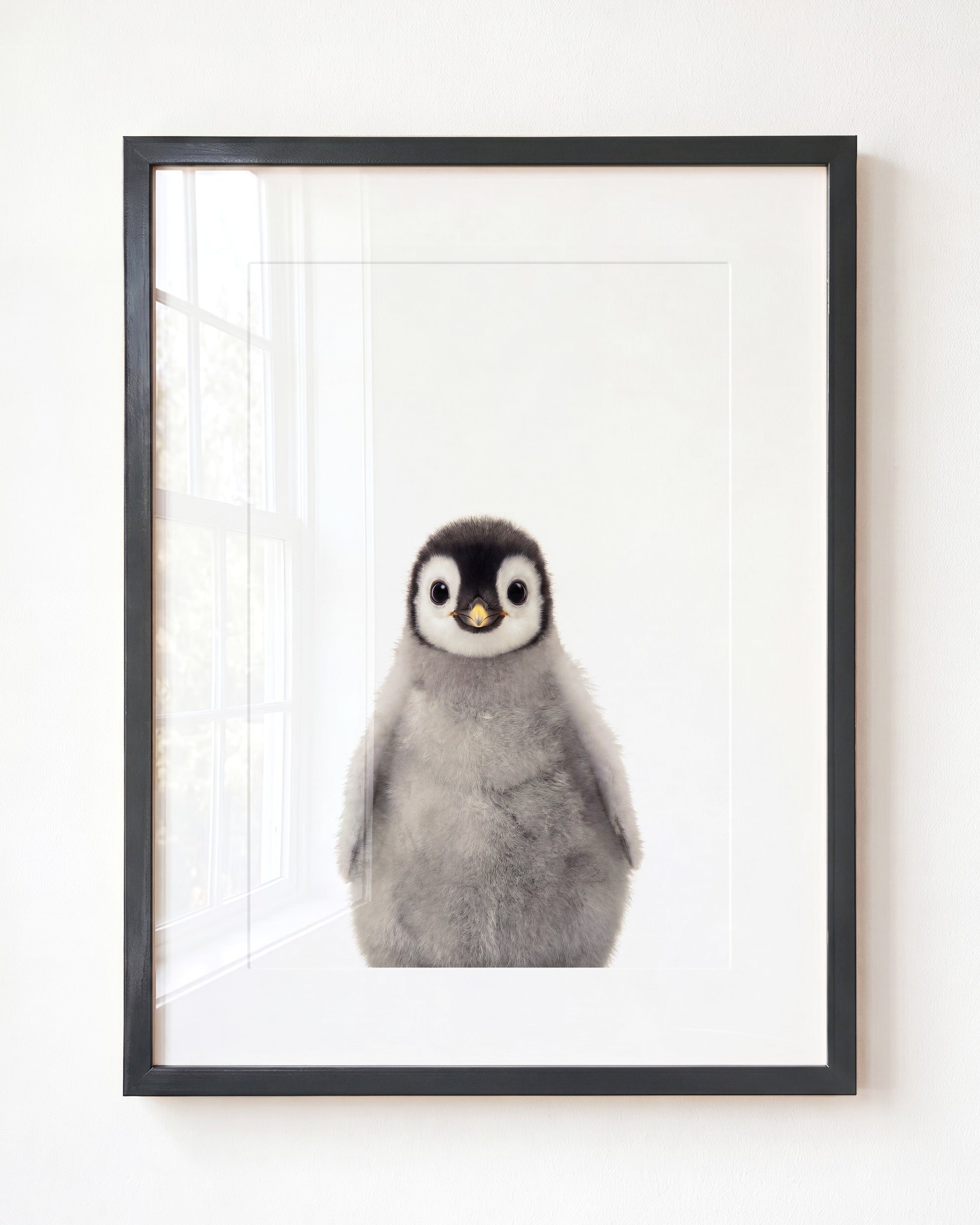 Baby Penguin