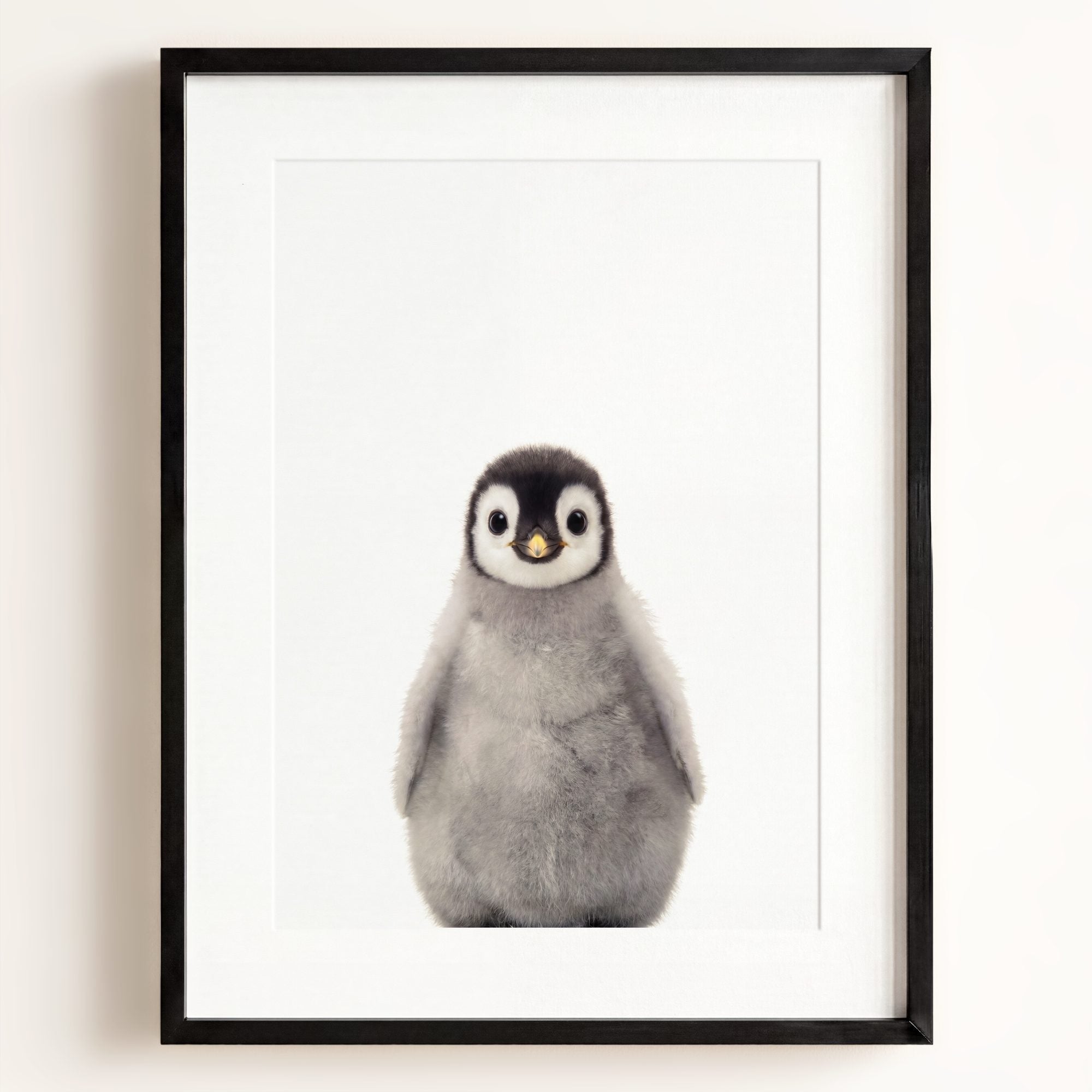 Baby Penguin
