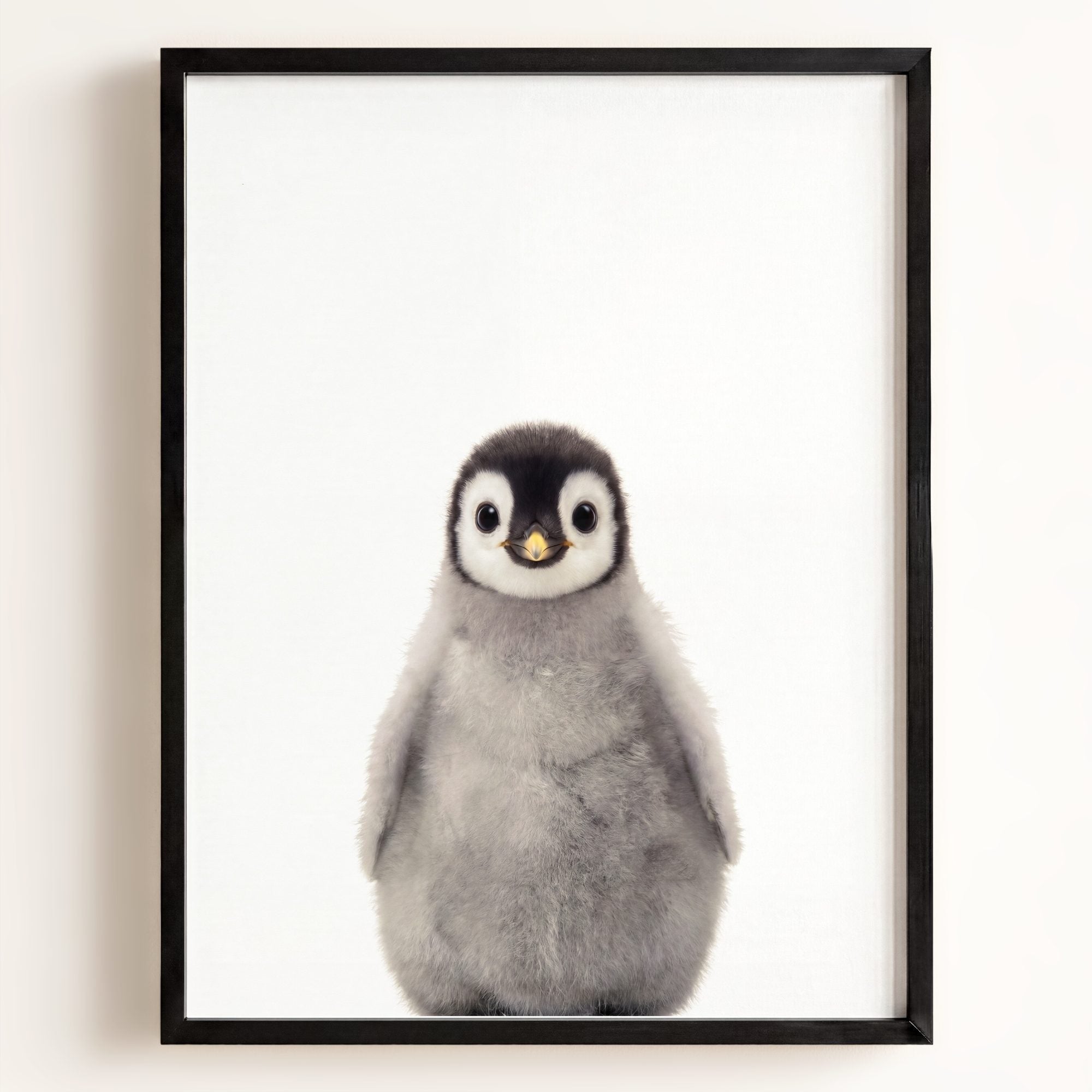 Baby Penguin