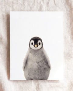 Baby Penguin