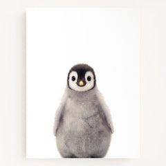 Baby Penguin
