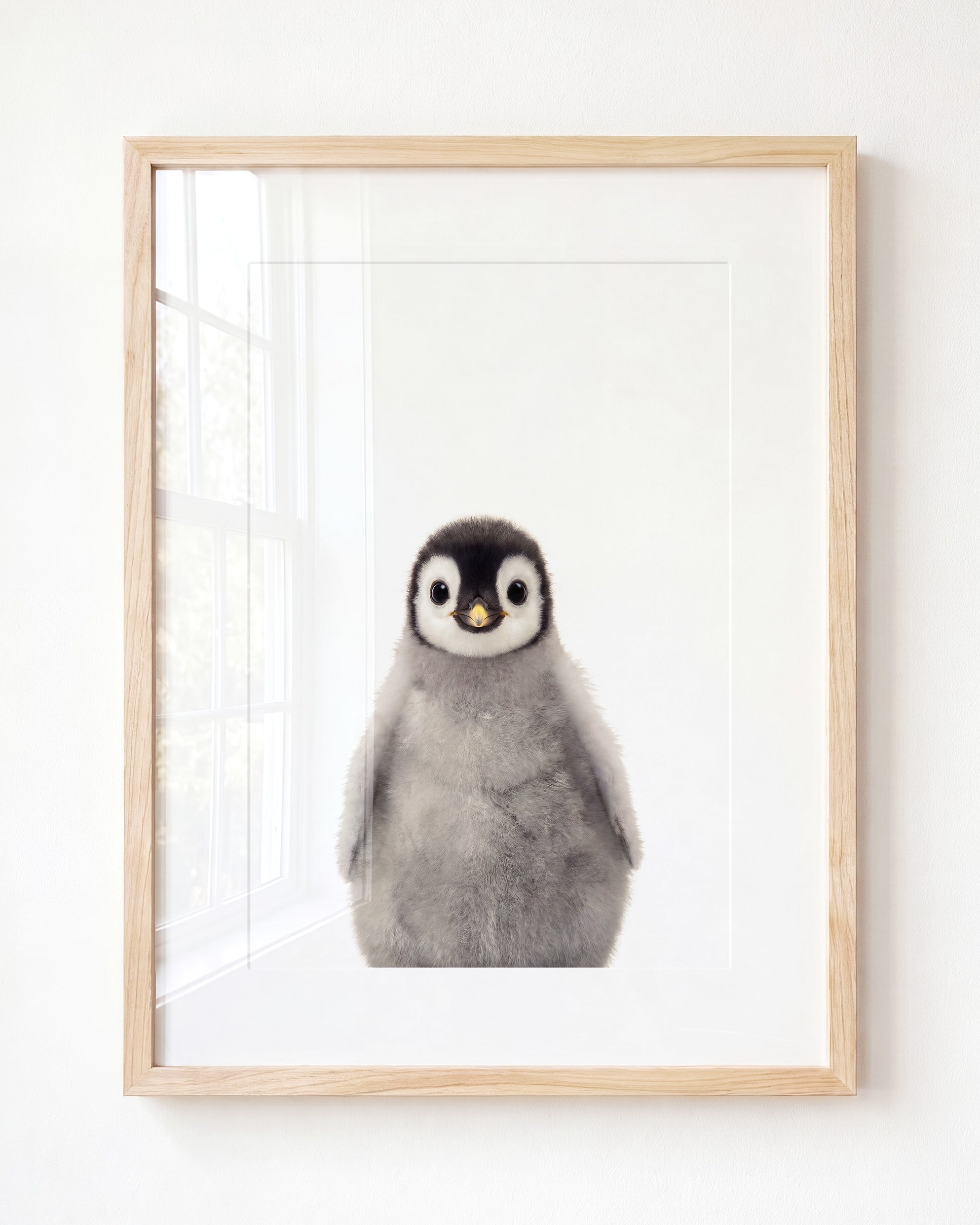 Baby Penguin
