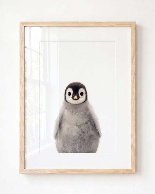 Baby Penguin — Framed Art