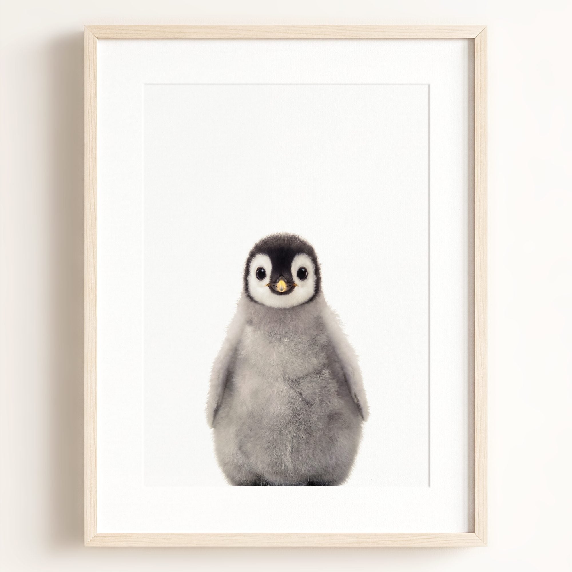 Baby Penguin
