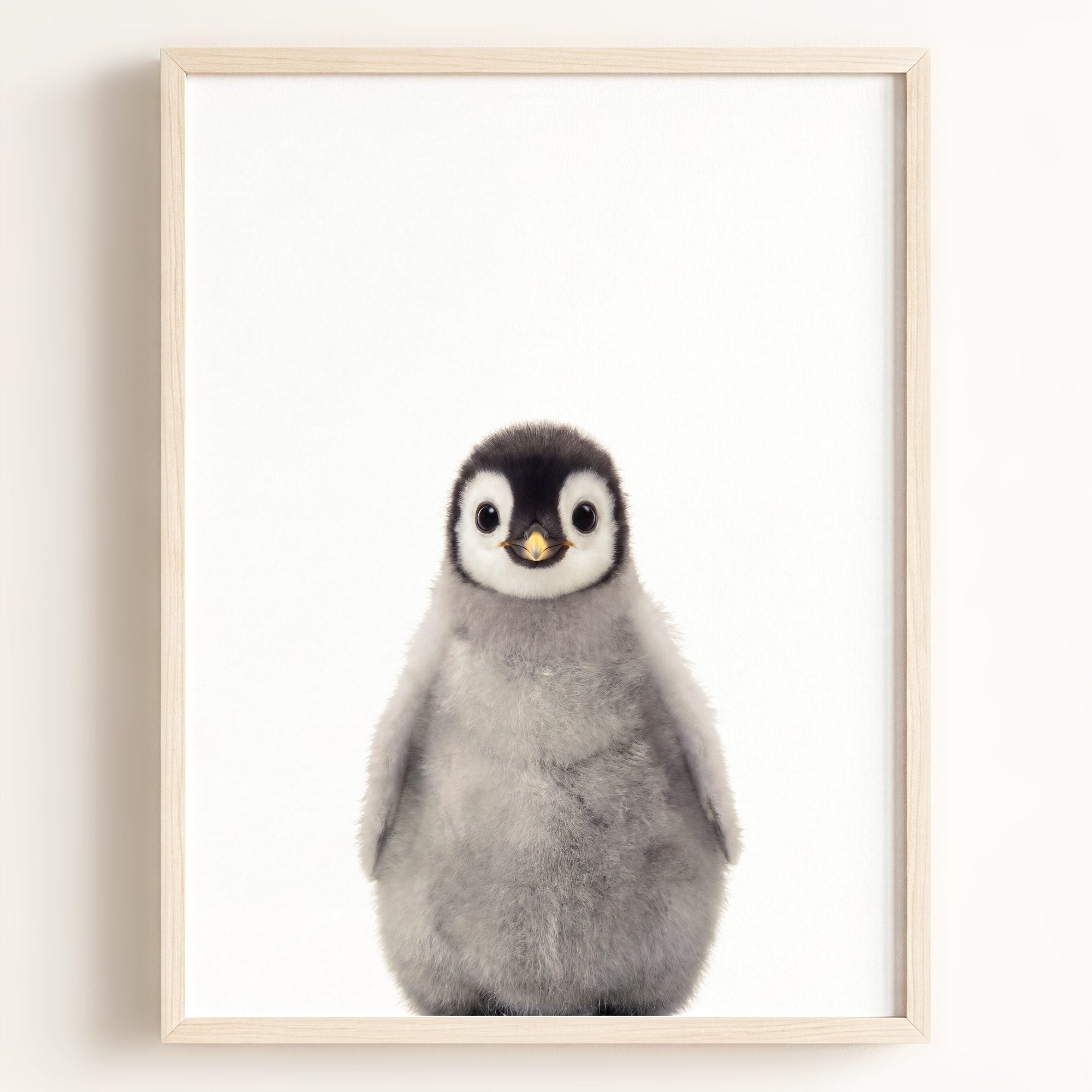 Baby Penguin