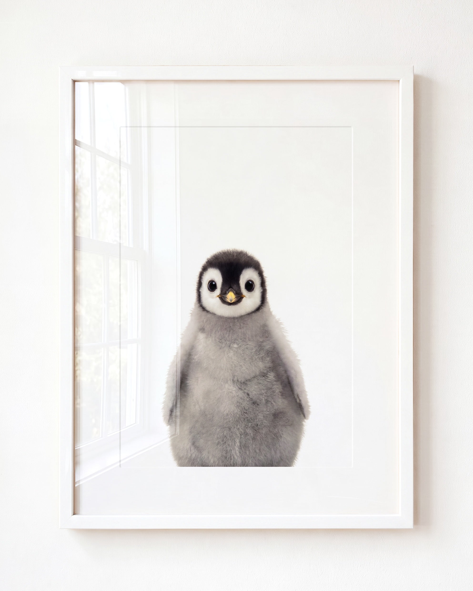 Baby Penguin