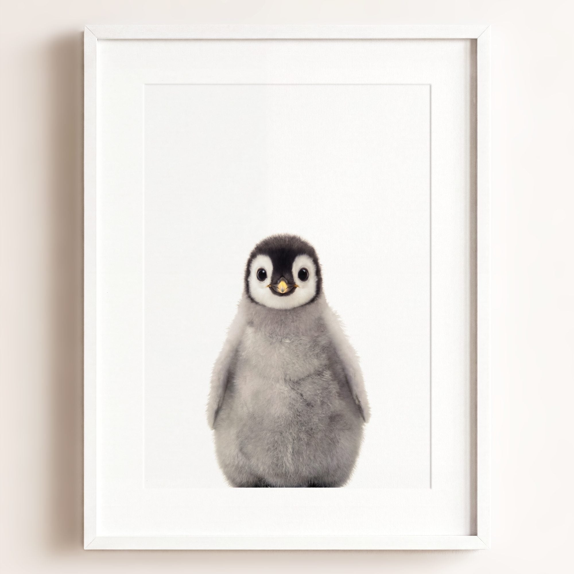Baby Penguin