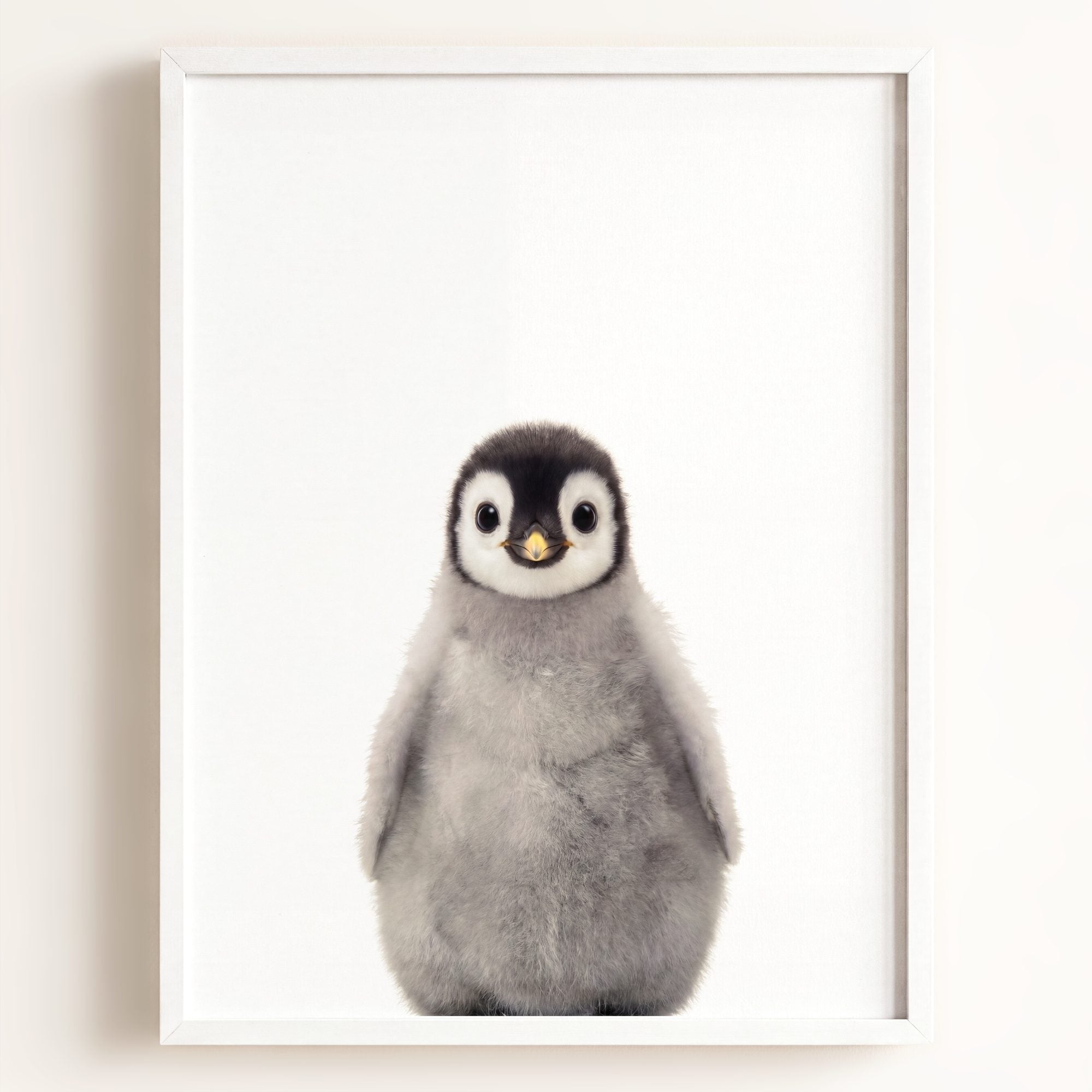 Baby Penguin