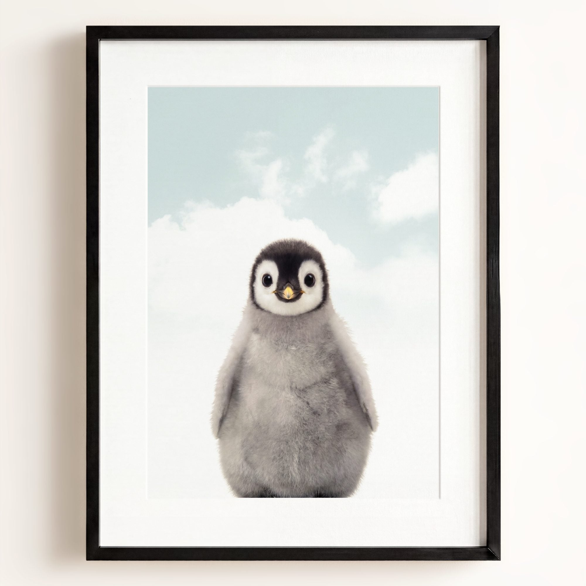 Baby Penguin