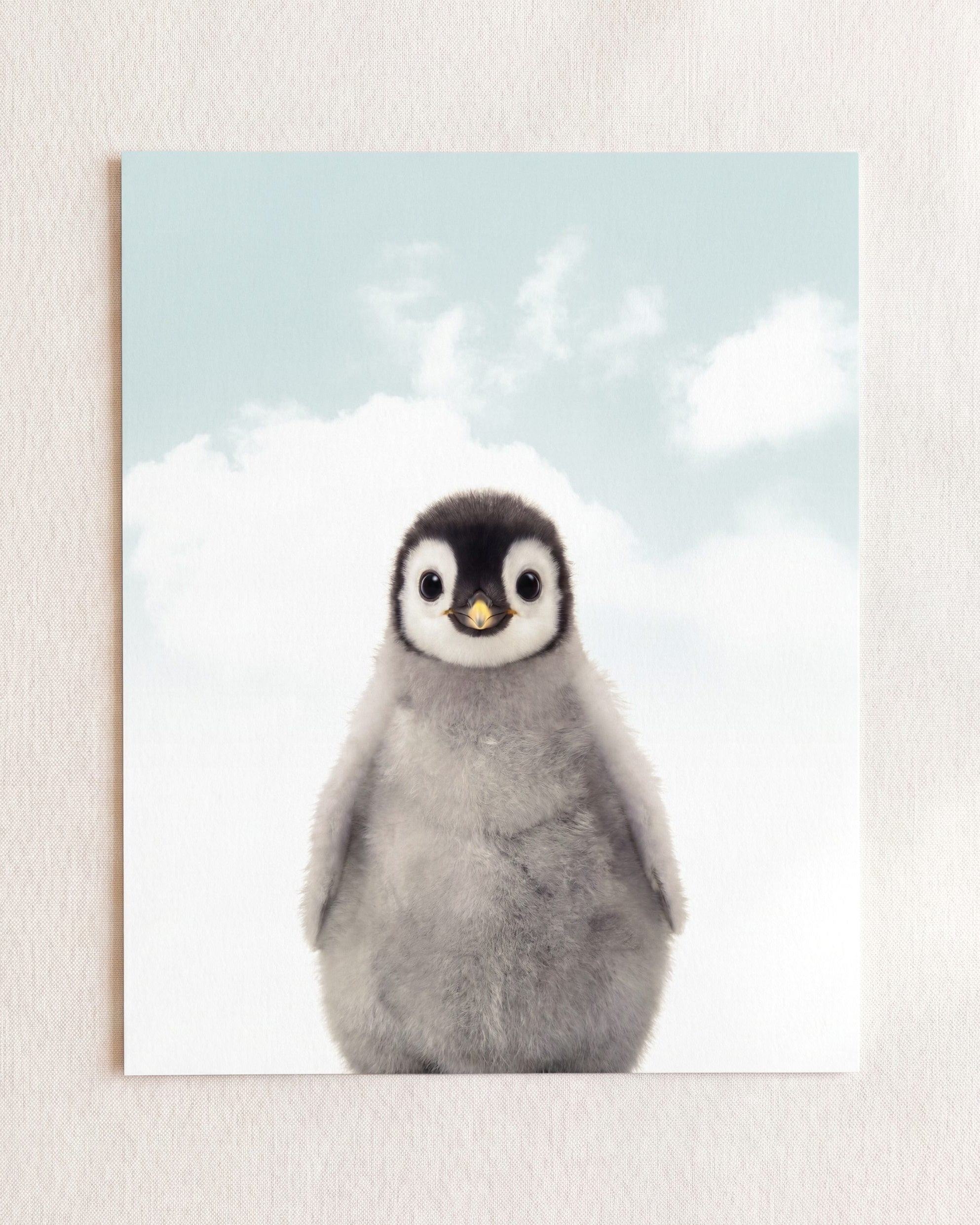 Baby Penguin