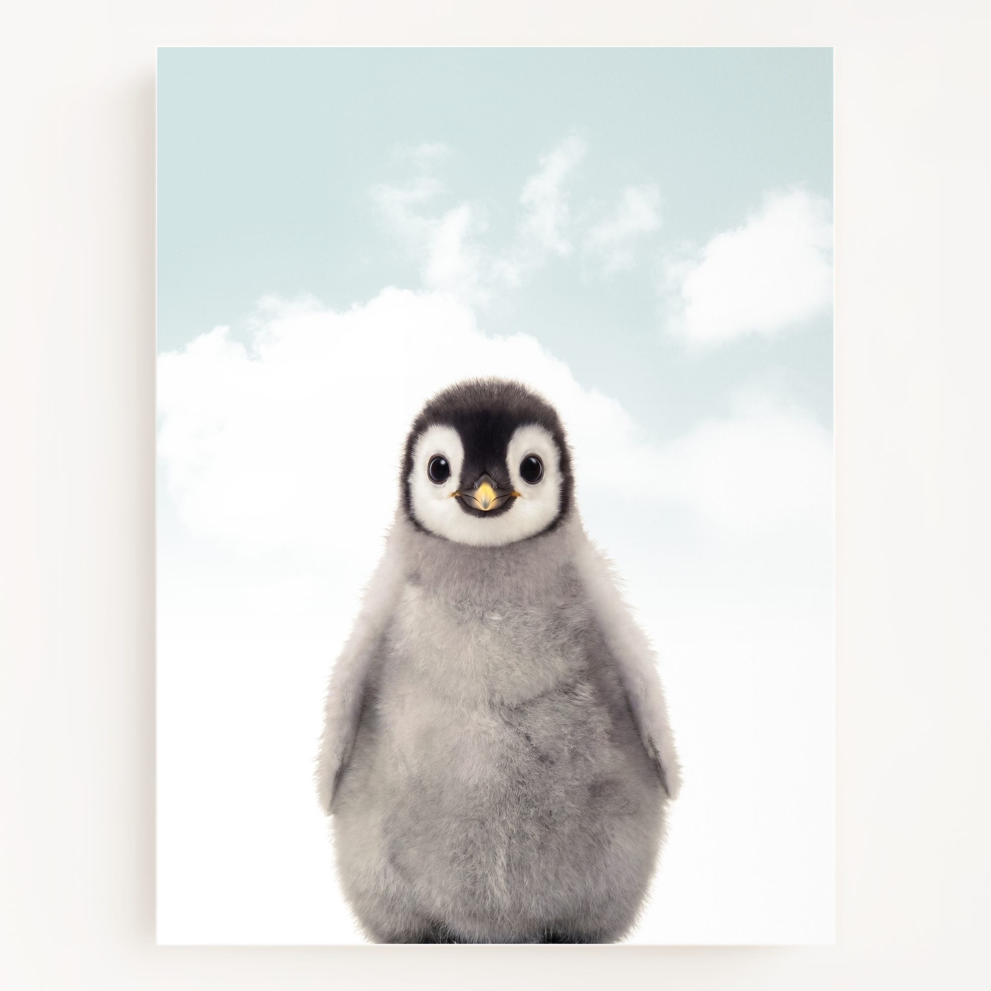 Baby Penguin