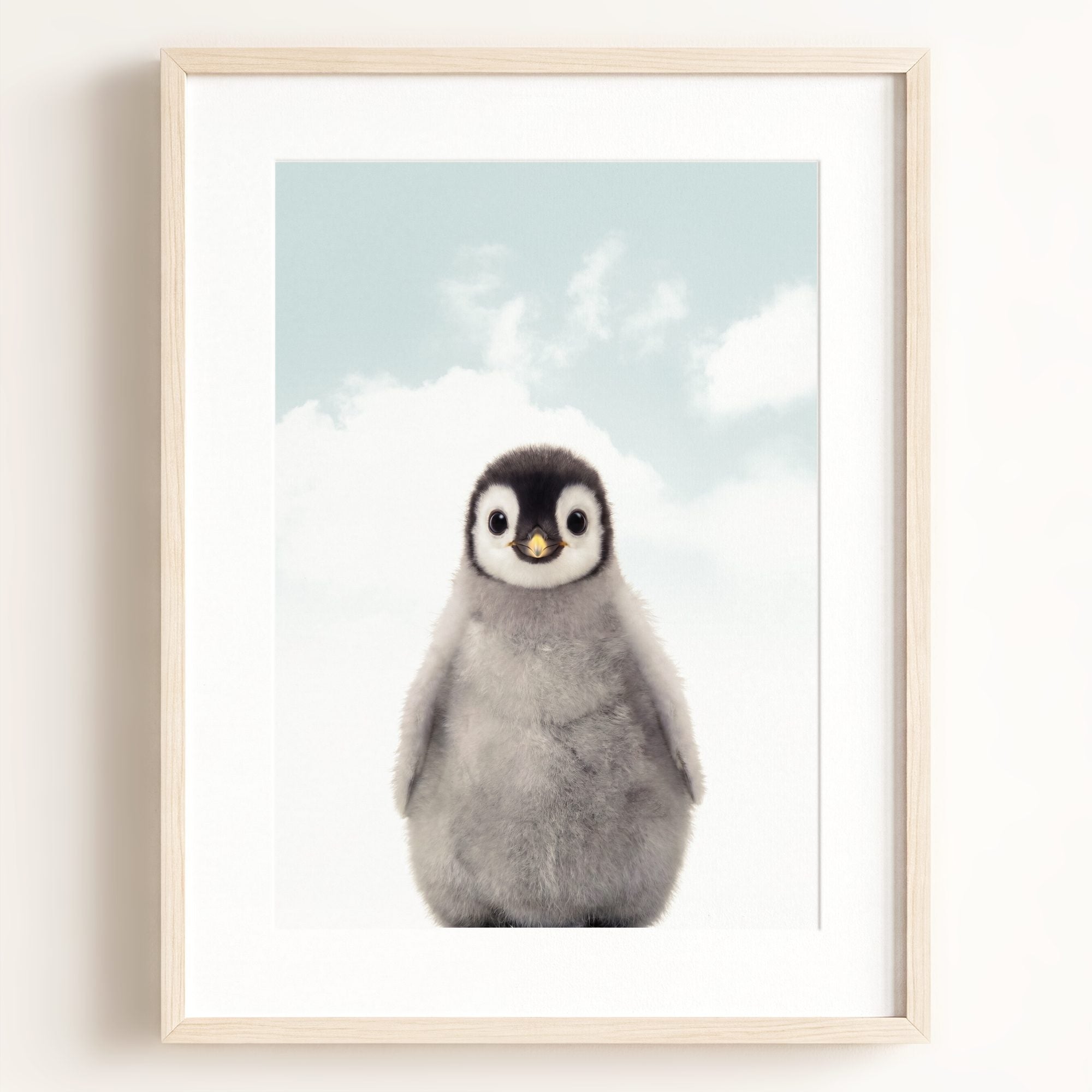 Baby Penguin
