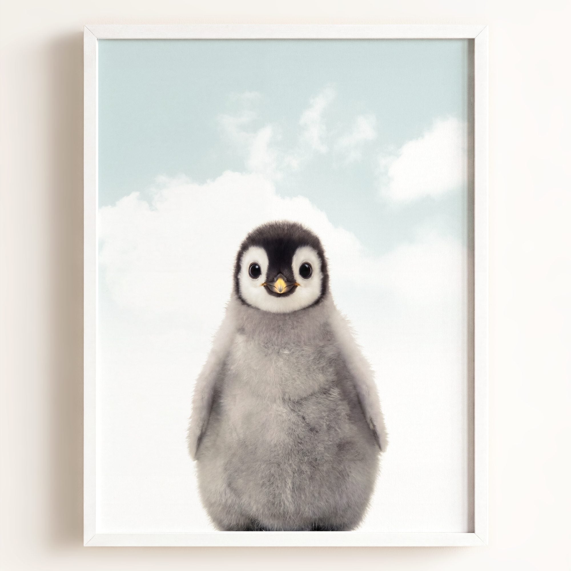 Baby Penguin