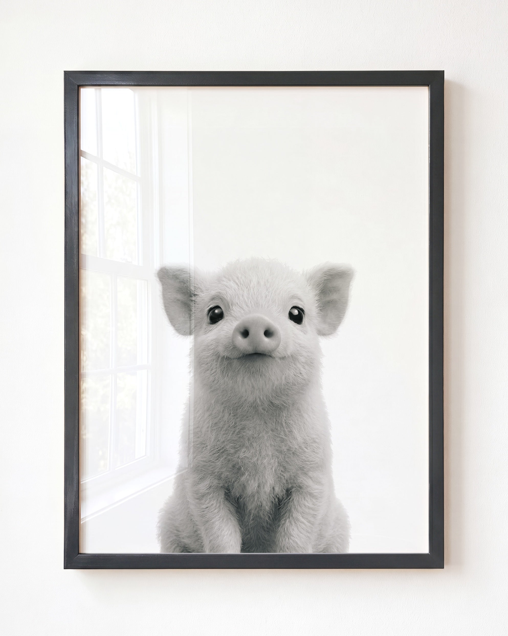 Baby Pig