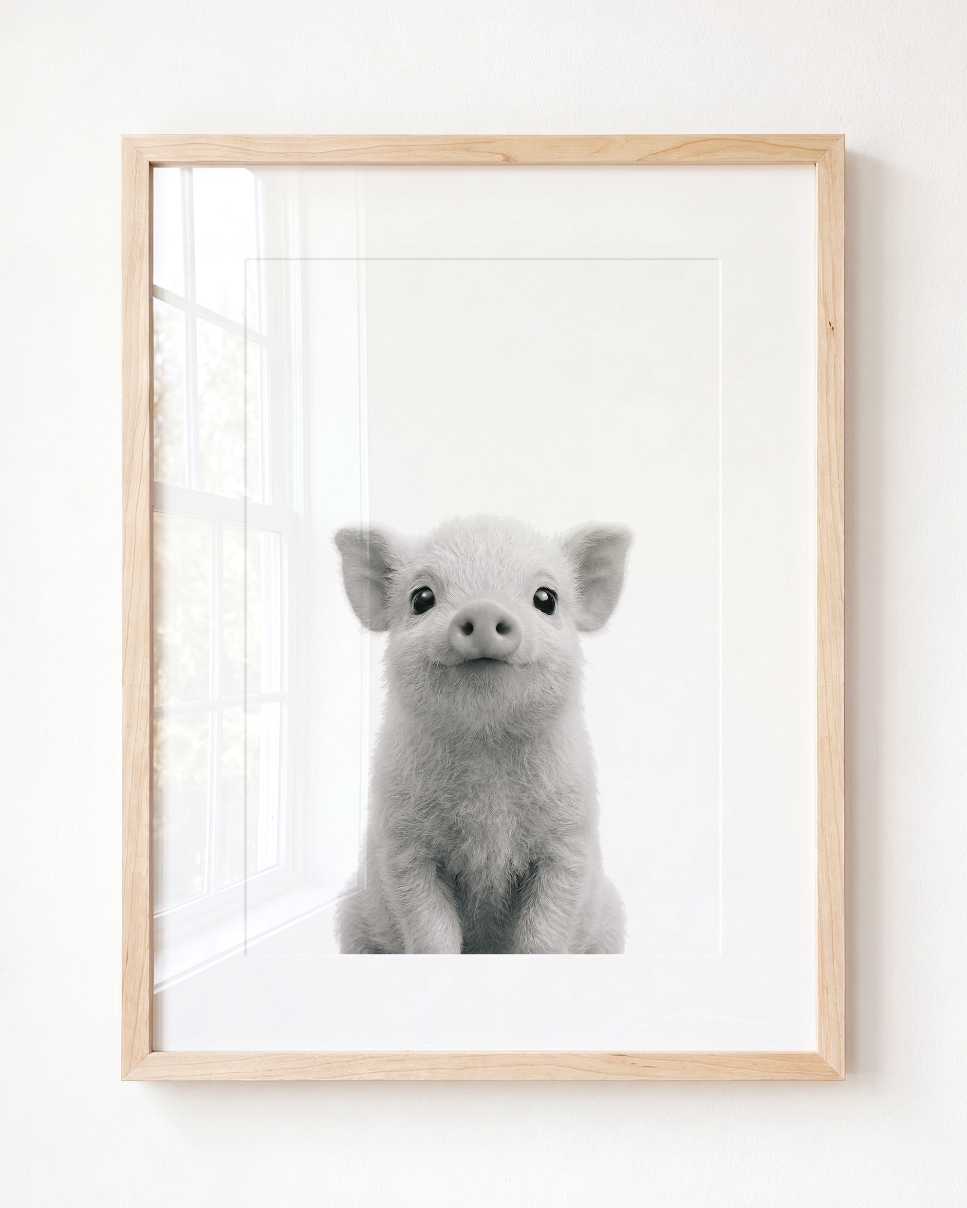 Baby Pig