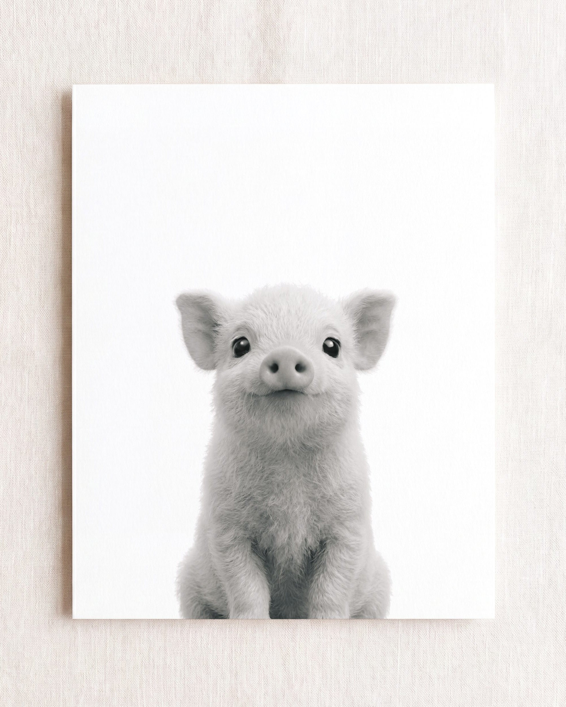 Baby Pig