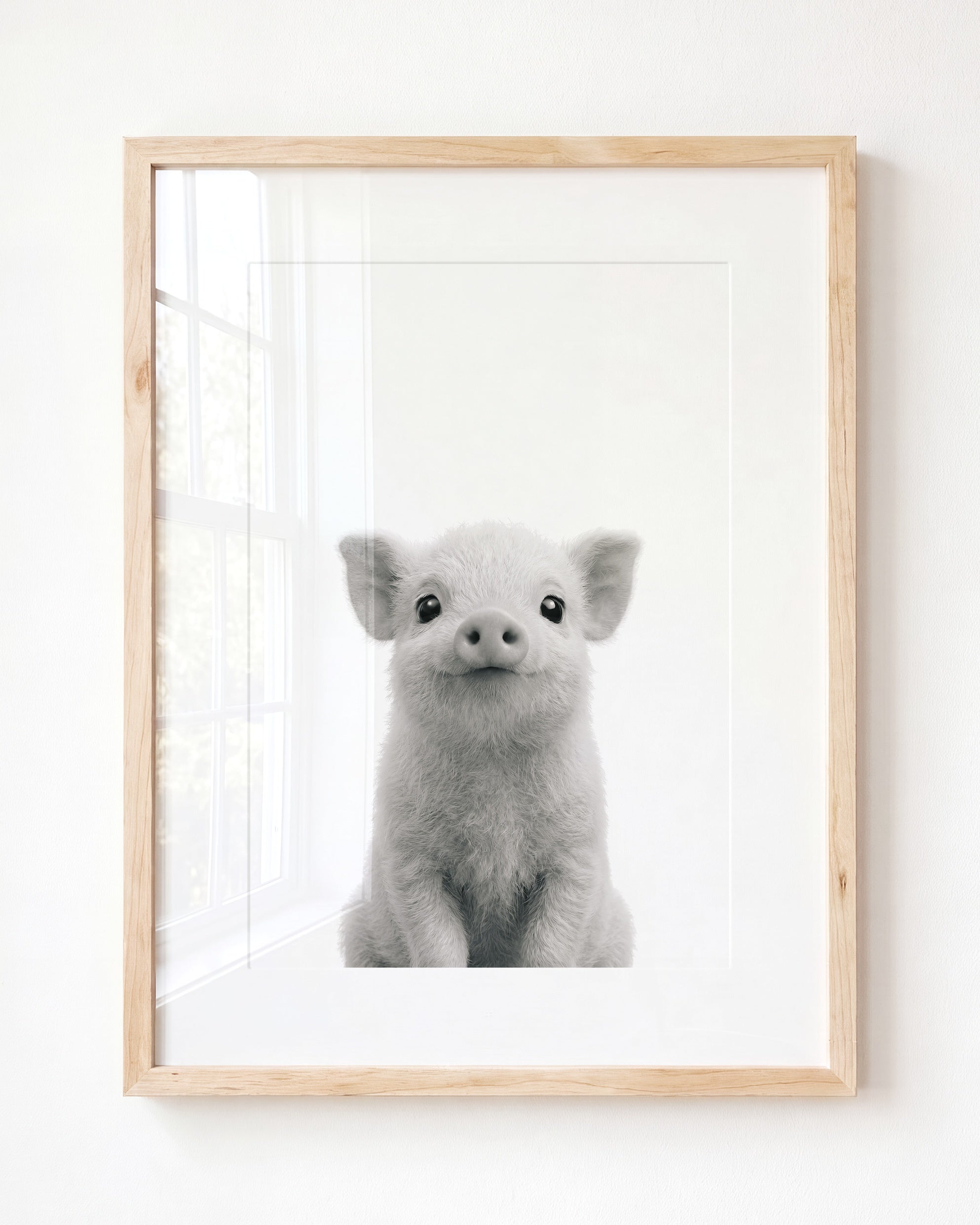 Baby Pig