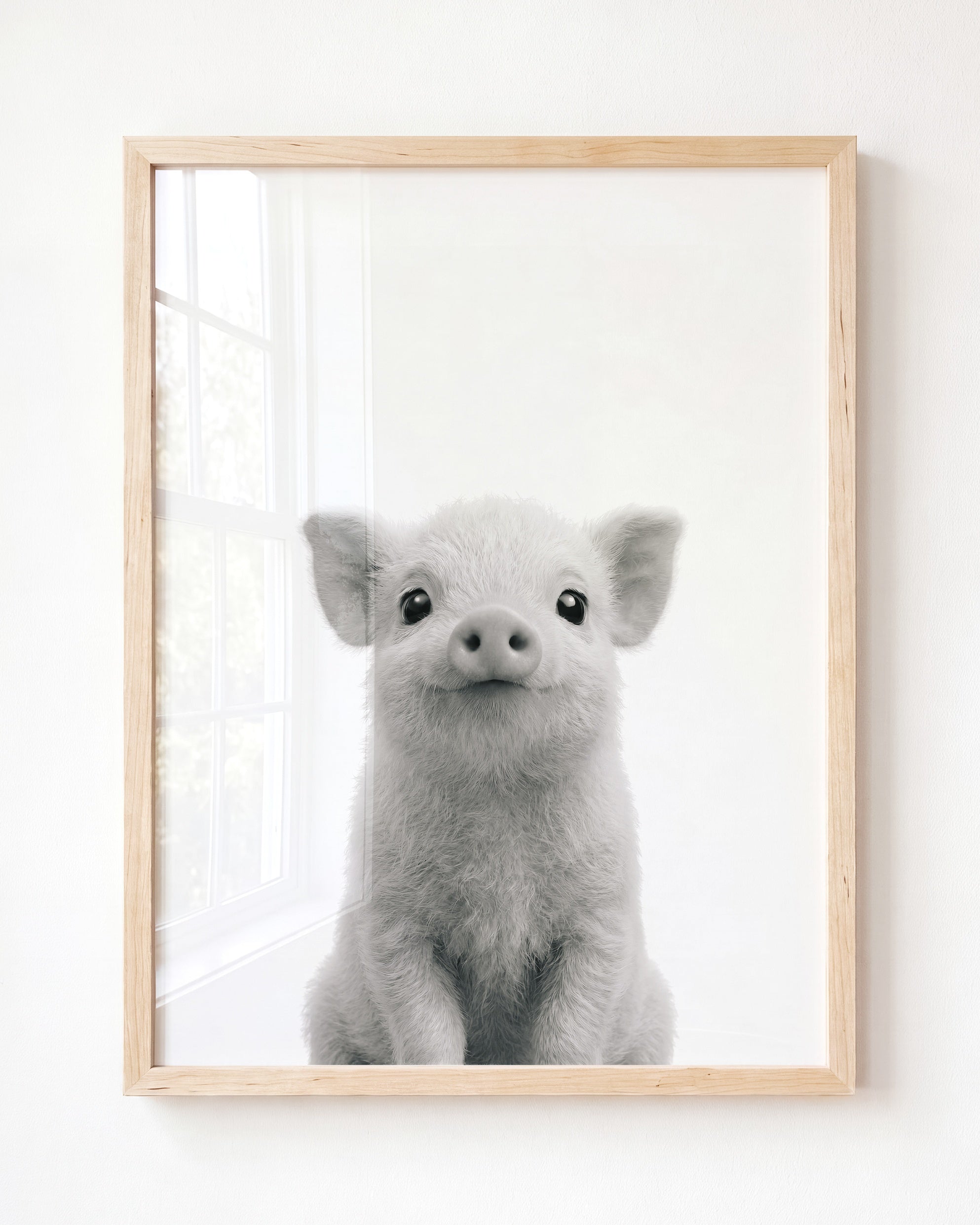 Baby Pig