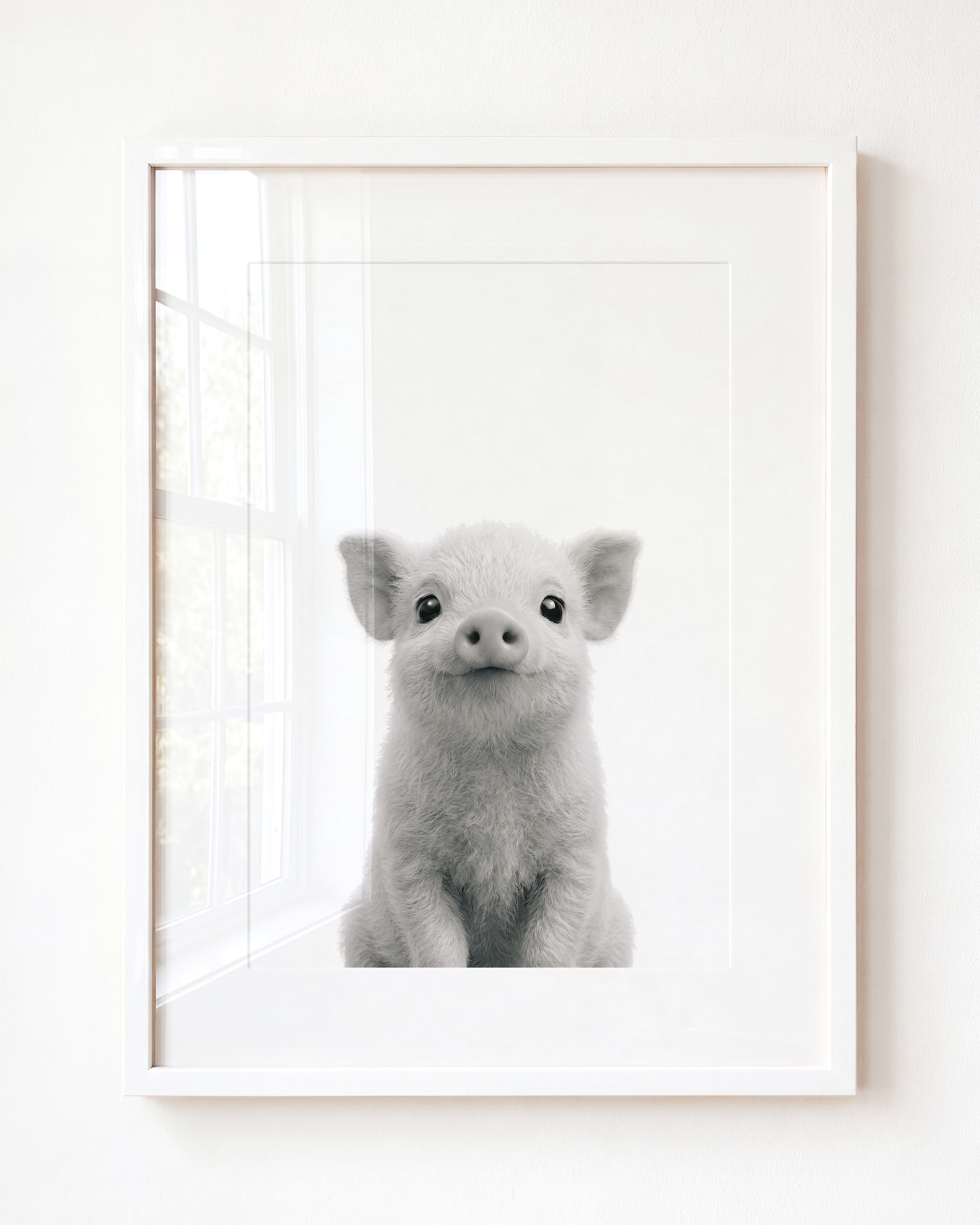 Baby Pig