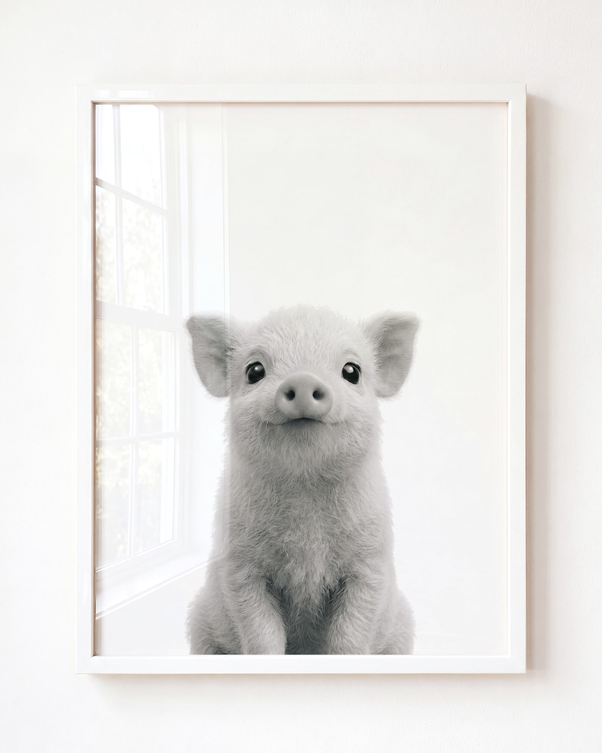 Baby Pig