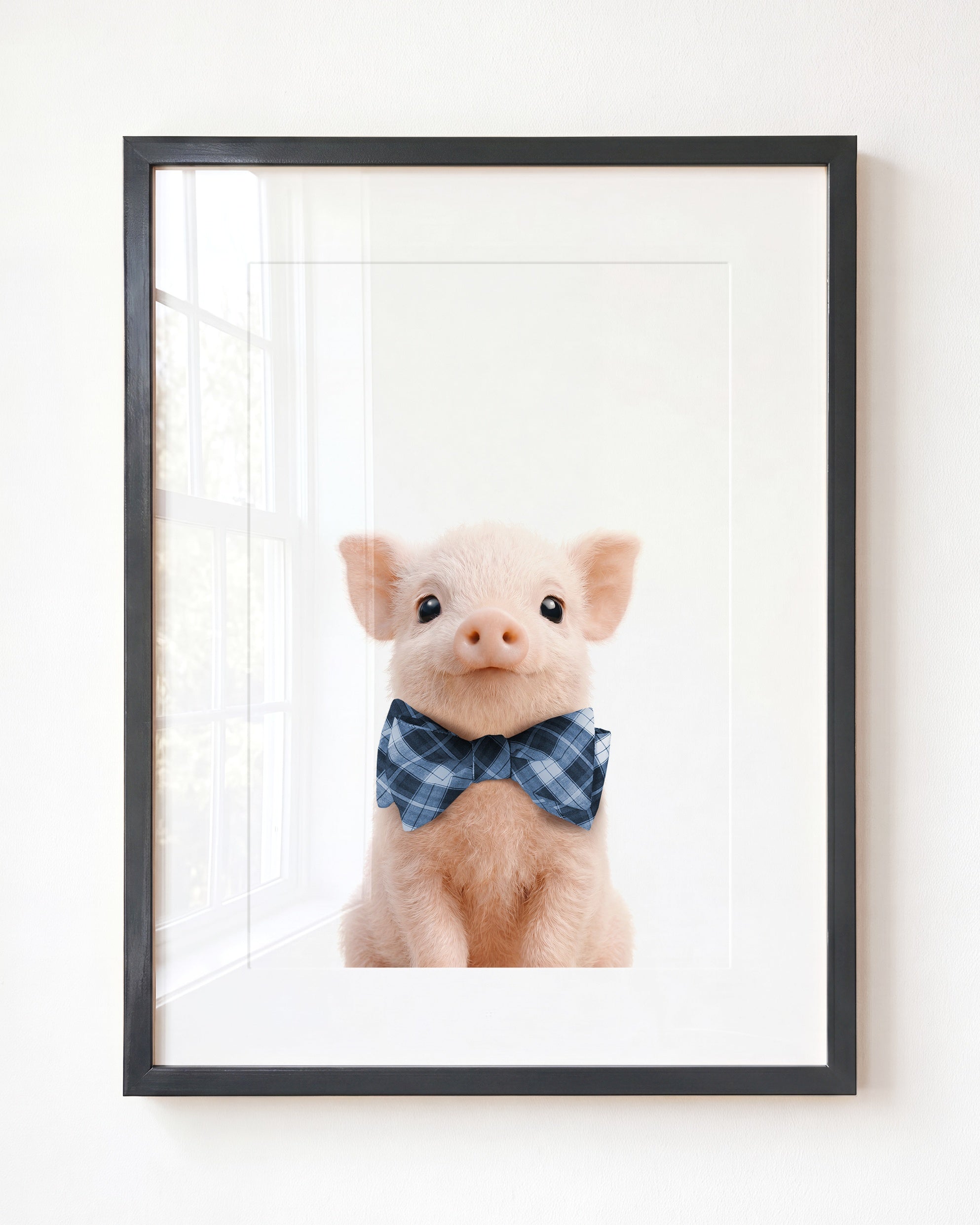 Baby Pig