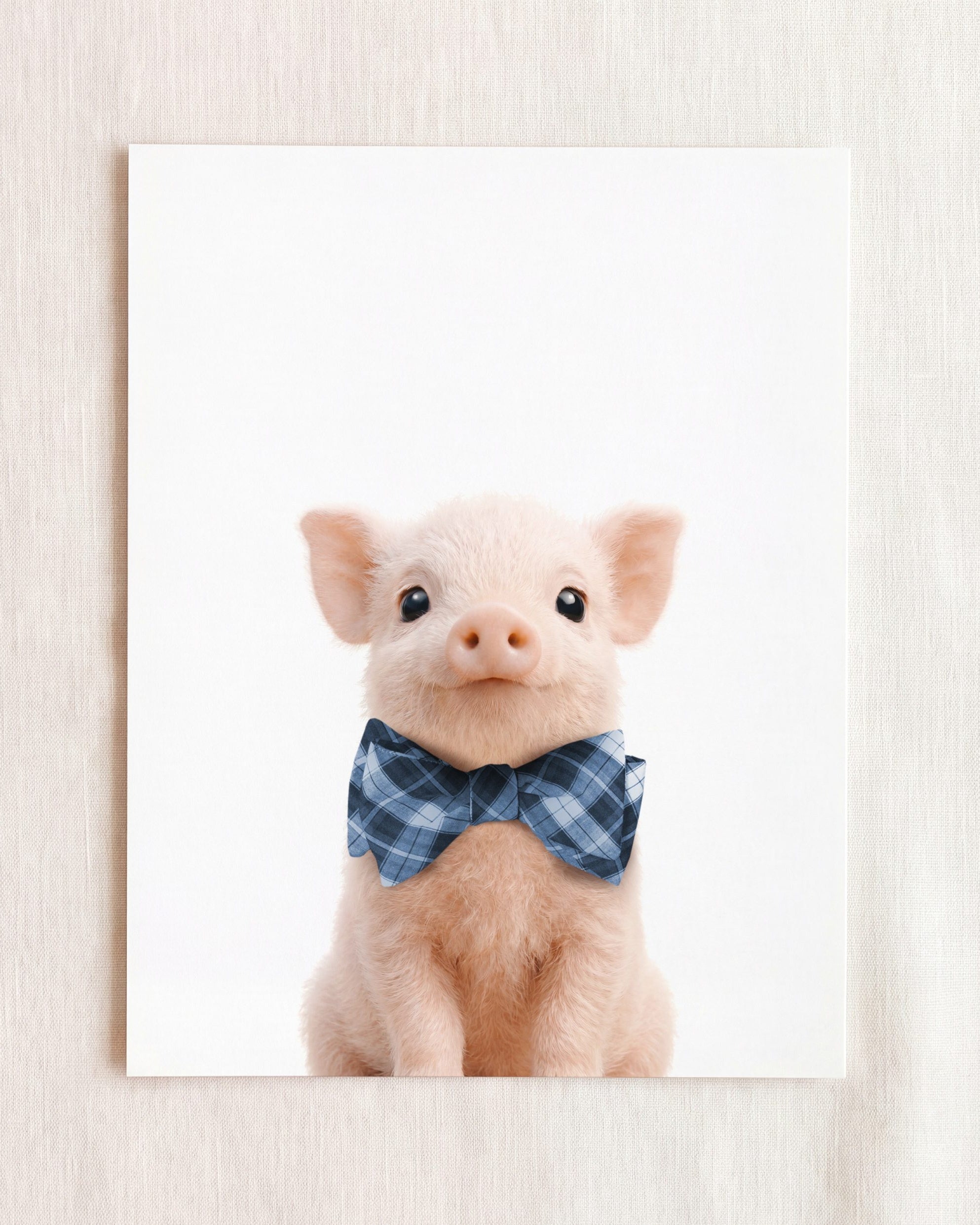 Baby Pig