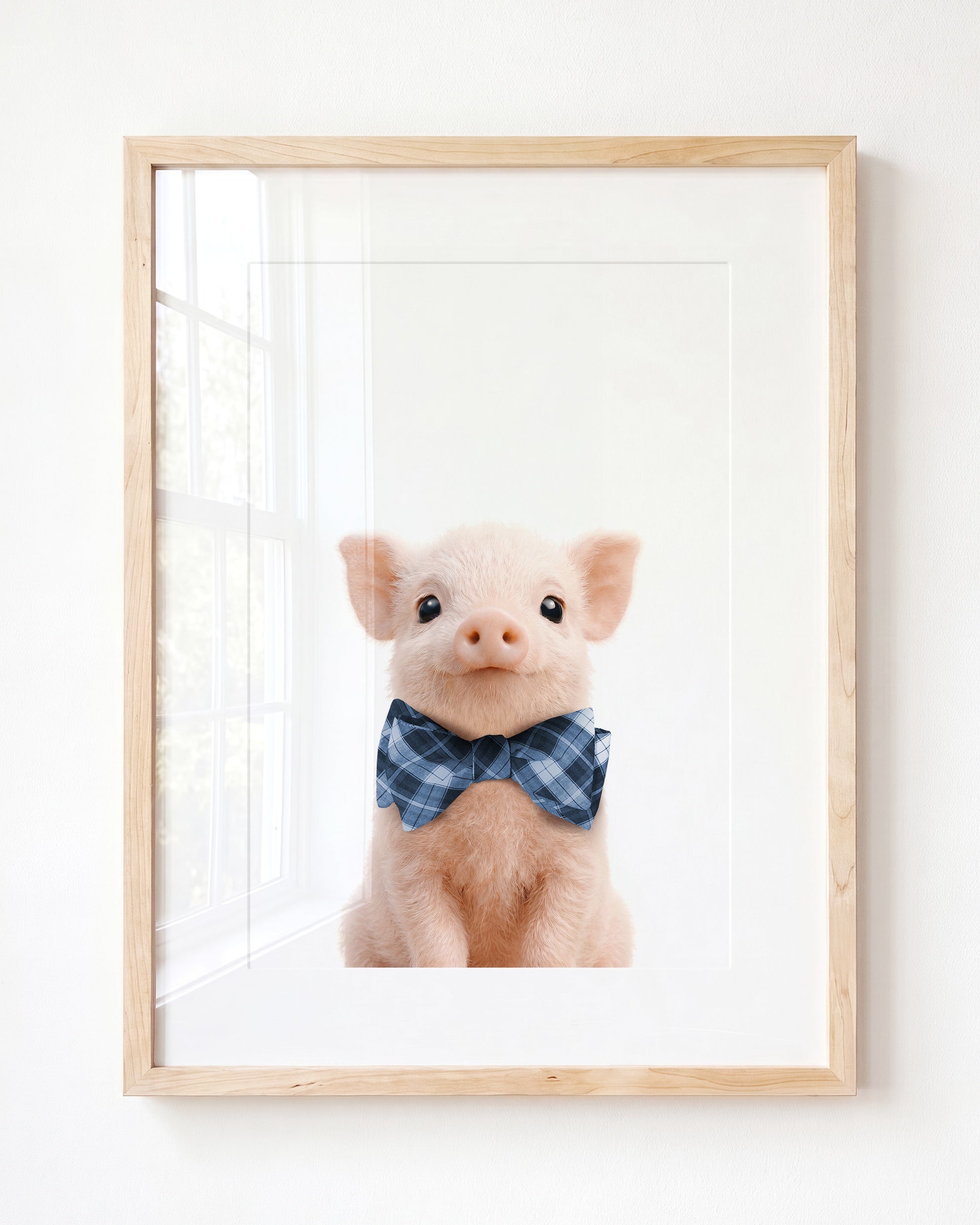 Baby Pig