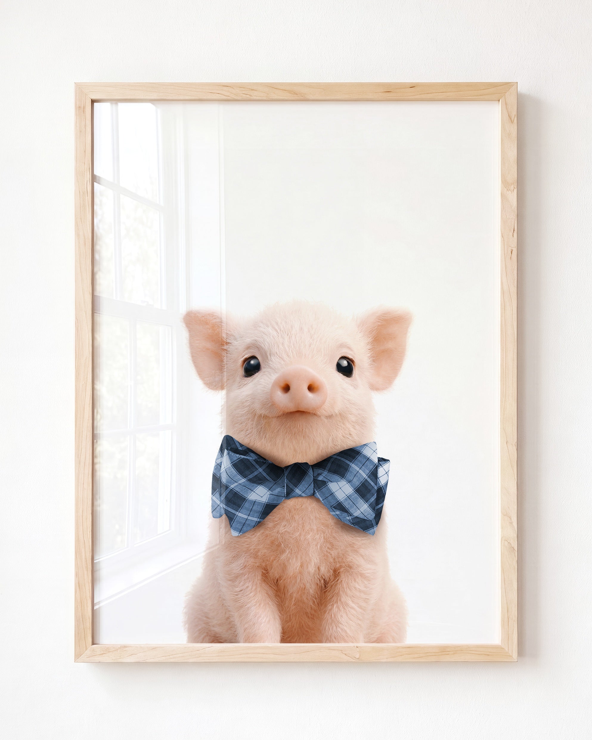 Baby Pig