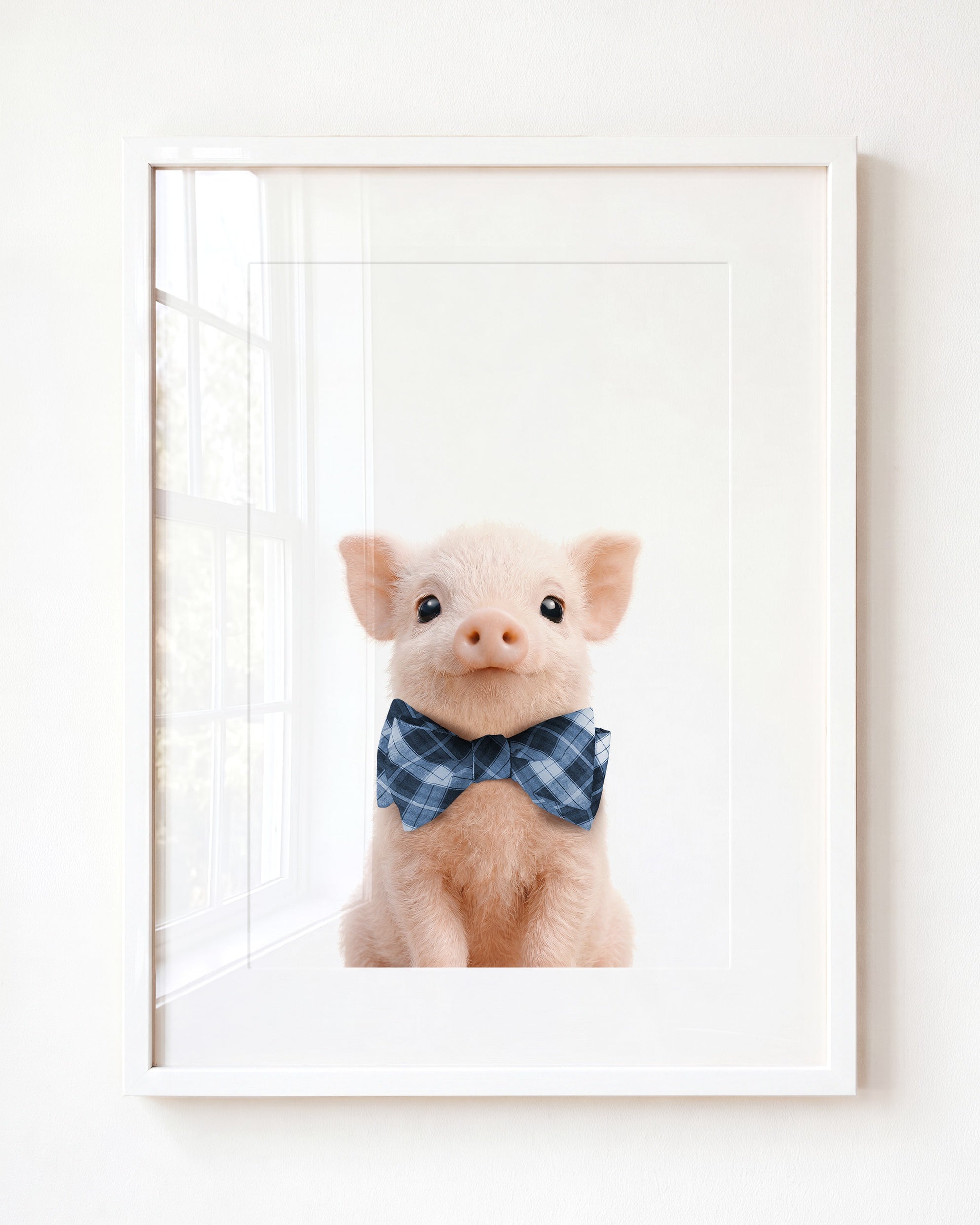Baby Pig