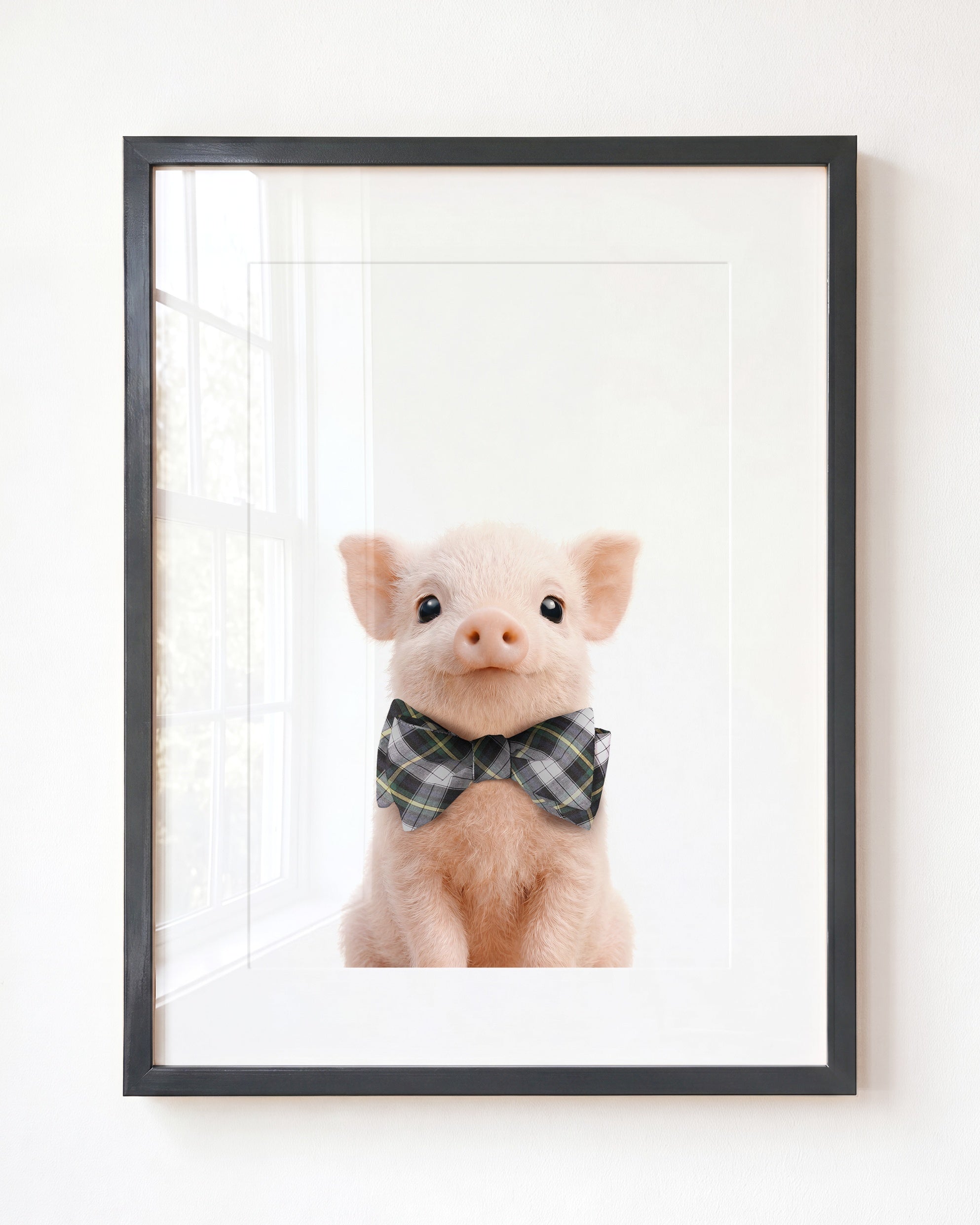 Baby Pig