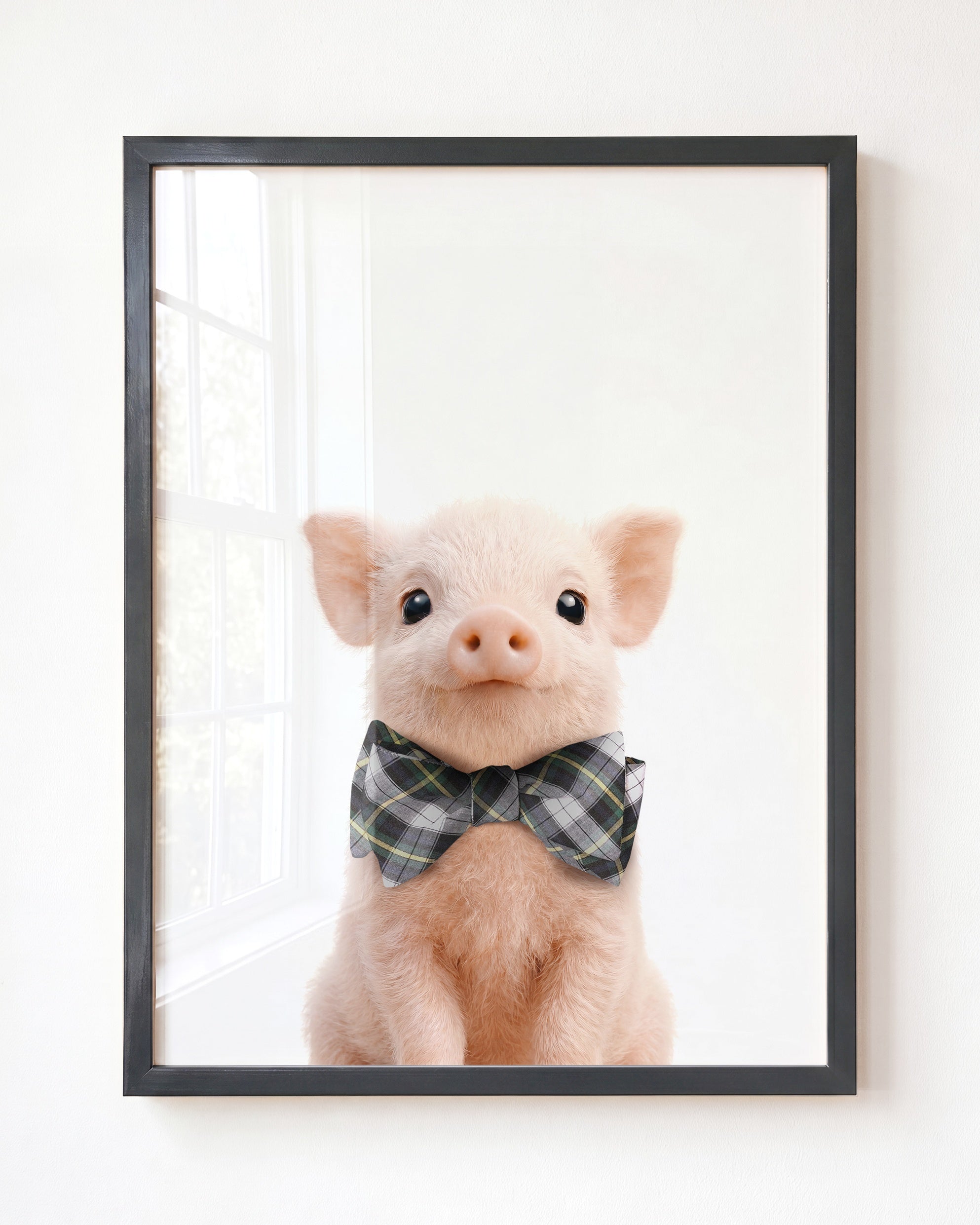 Baby Pig