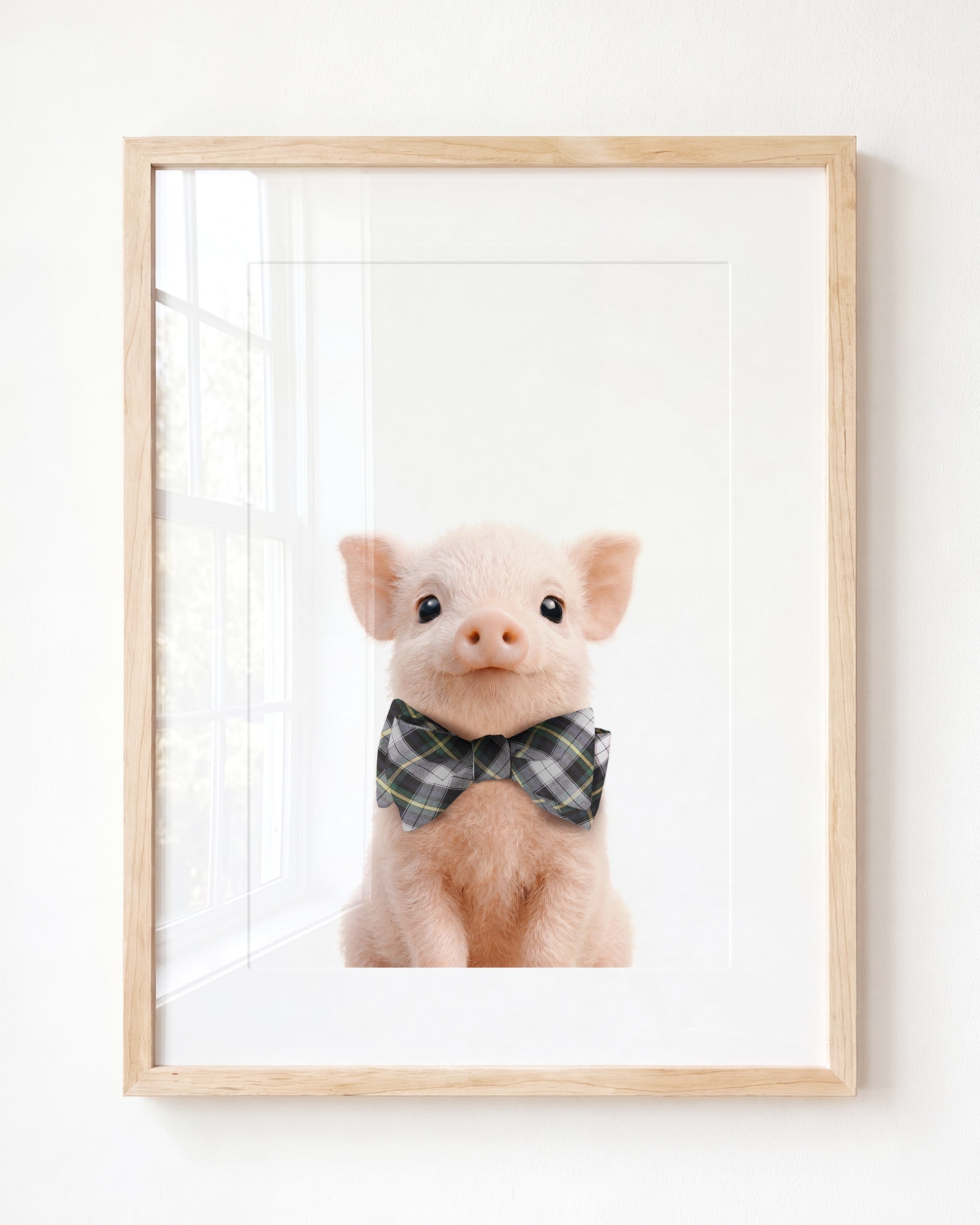 Baby Pig