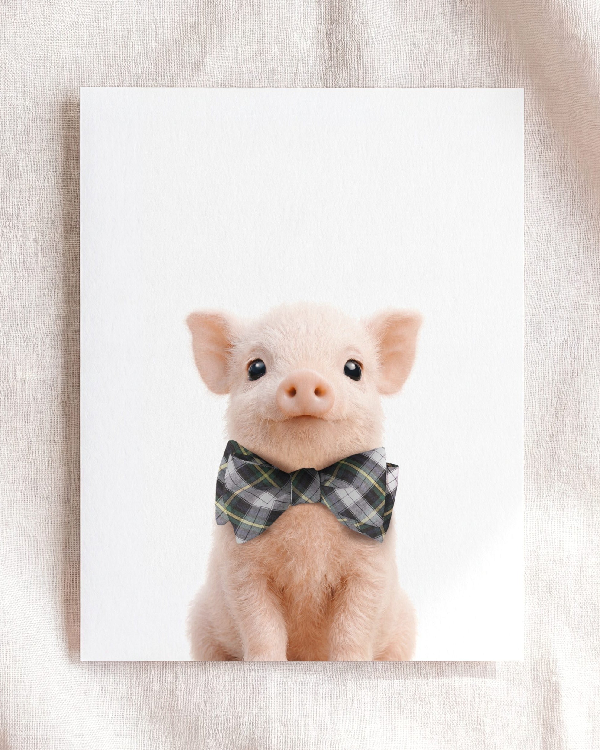 Baby Pig